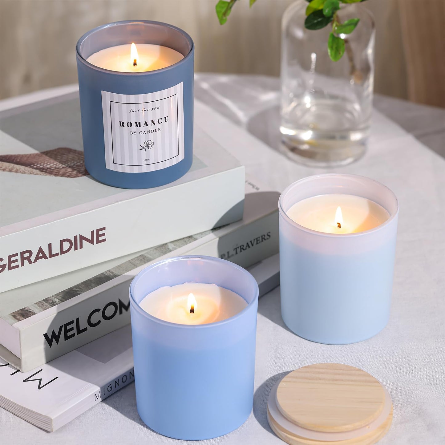 REISEN 12Pcs Assorted Blue Candle Jars, 10oz Glass Candle Containers for DIY Gifts and Storage, Frosted Blue Glass Jars with Bamboo Lids and Labels