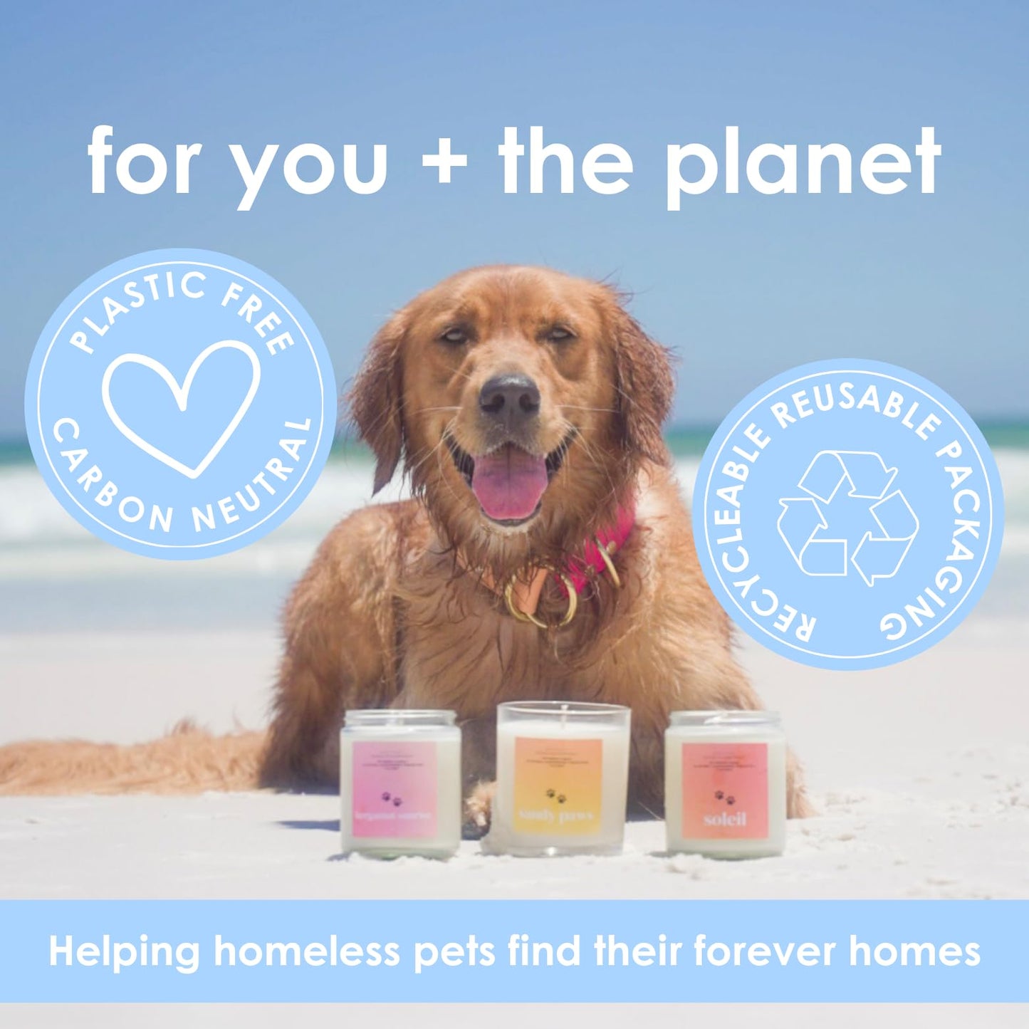 Pet Safe Candle for Dogs | Non Toxic Coconut Apricot Wax Candle | Clean Burning, Paraffin-Free | Pet Odor Eliminating Home Fragrance | Falling Leaves | 4 oz