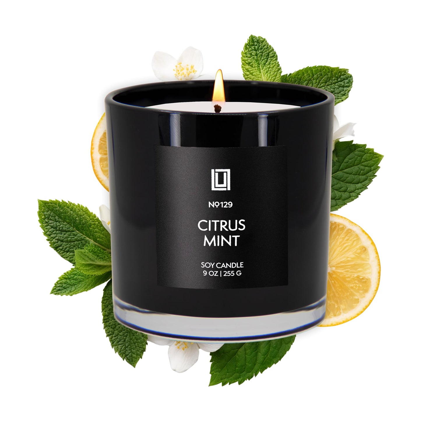 Lulu Candles | Citrus Mint | Smells Fresh & Citrusy | Luxury Scented Soy Jar Candle | Hand Poured in The USA | Highly Scented Long Lasting (9 Oz.)