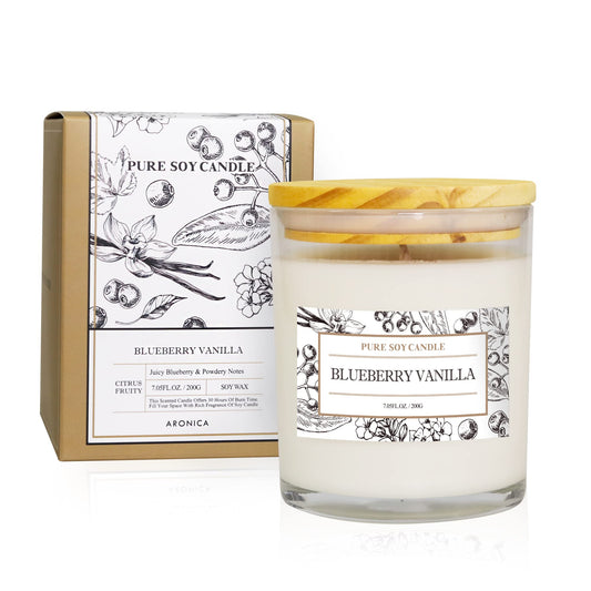 Aronica Blueberry Summer Candles for Home, Pet Safe Candles Non Toxic, House Decor Aesthetic, Regalos De Verano para UNA Casa, Labor Day Small Gift, Home Air Freshener for New Home