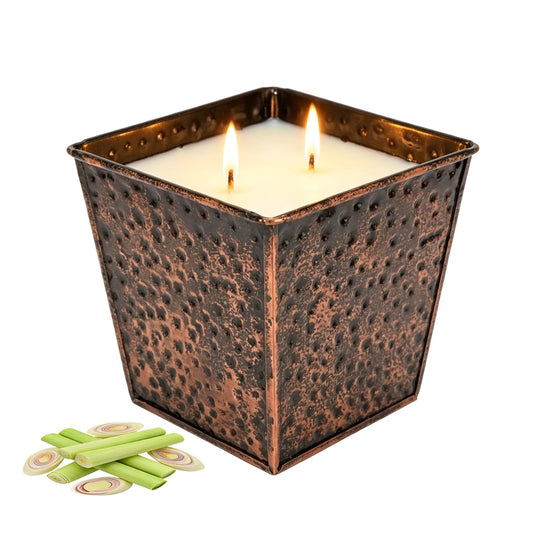 Citronella Candles Outdoor - 12.5oz Each Soy Wax, Large Double Wick Candle with 100H Burn Time for Patio, Backyard, Camping（Black Gold）