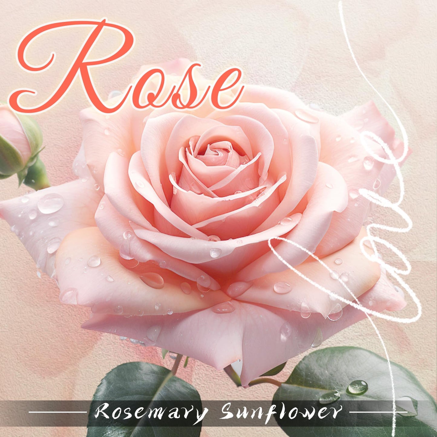 DARJEN Rose Scented Candles for Home- 5.3oz 35H Natural Soy Wax Aromatherapy Jar Candlet, Decorative Aesthetic Candles for Master Bedroom, Date Nights, Self-Care Sunday, Luxury Gift for Women