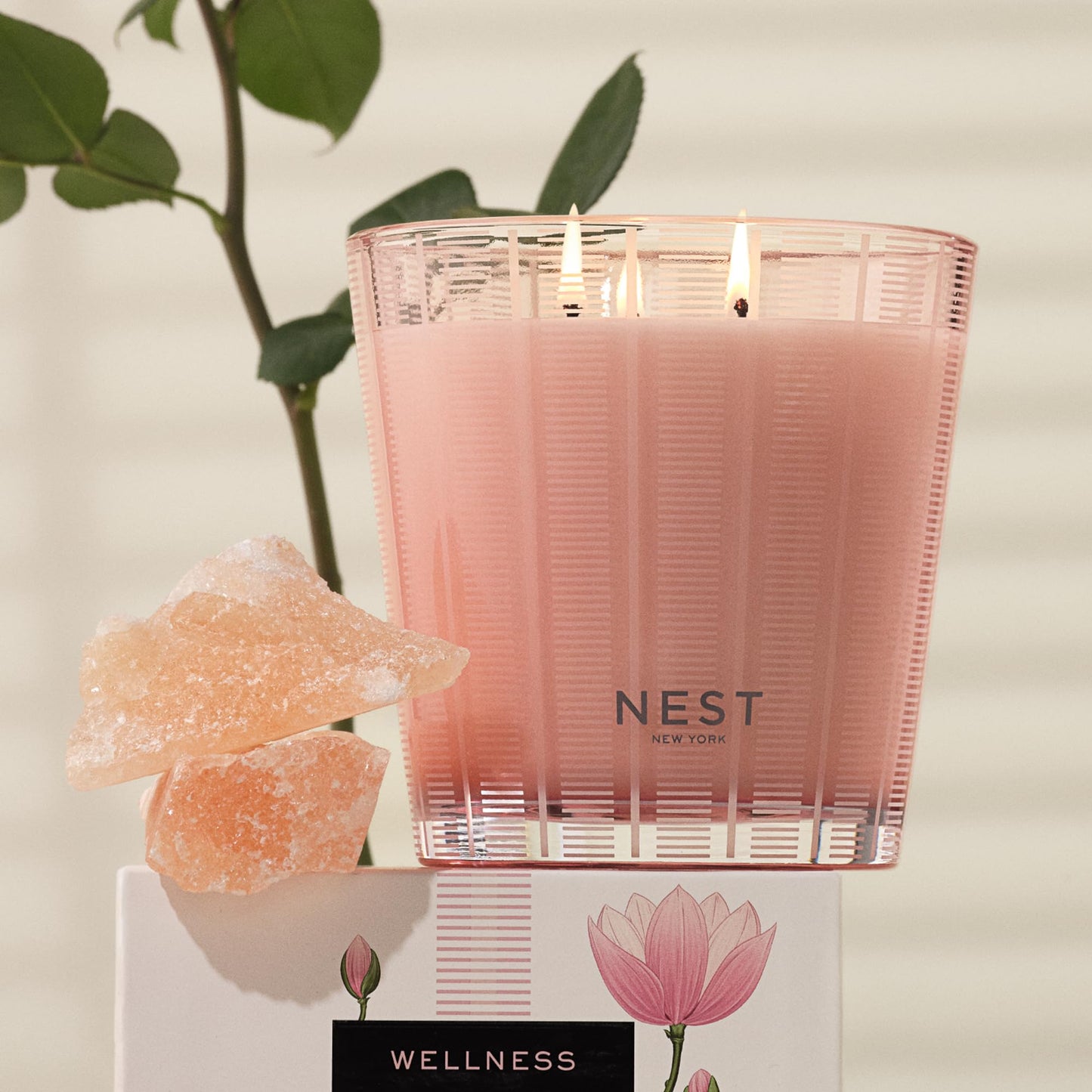 NEST New York Scented 3-Wick Candle, Himalayan Salt & Rosewater - 21.2 oz - Up to 100-Hour Burn Time - Reusable Glass Vessel