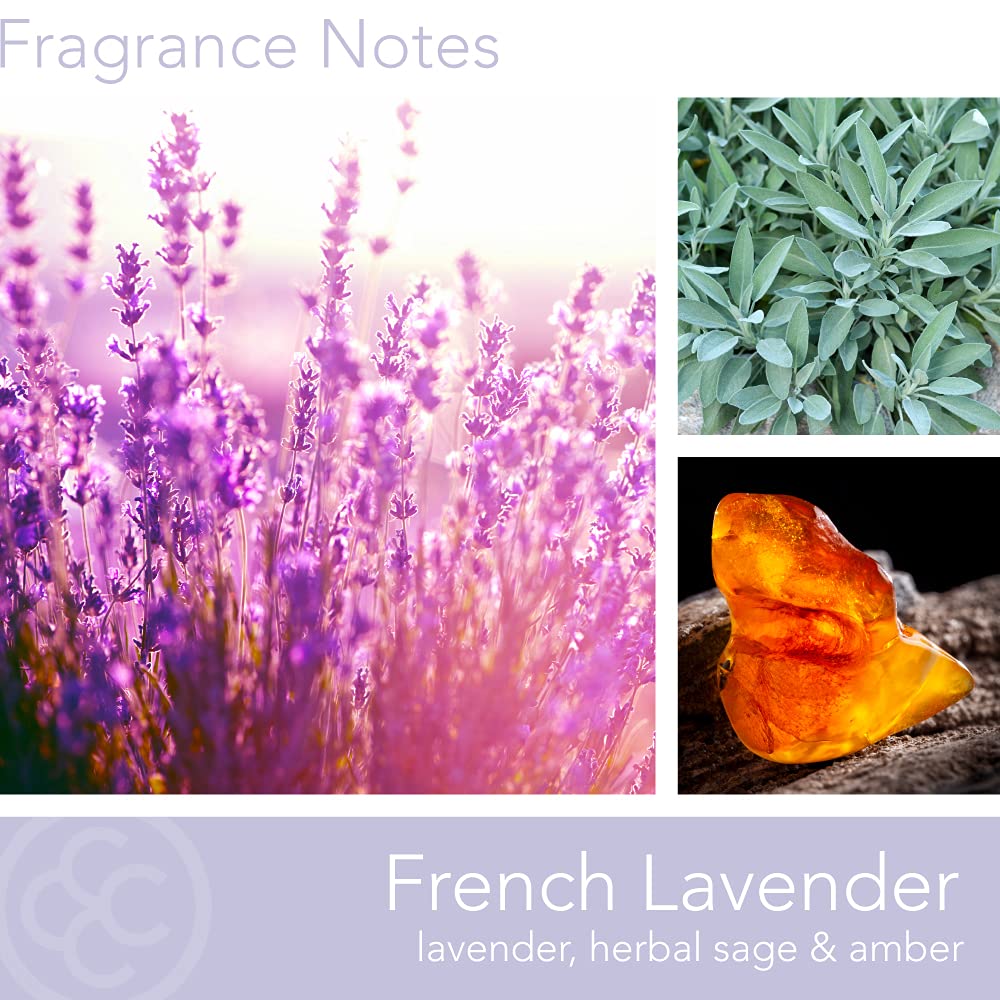 Colonial Candle French Lavender Scented Jar Candle, Classic Cylinders Collection, 2 Wick, Purple, 19 oz - Up to 120 Hours Burn