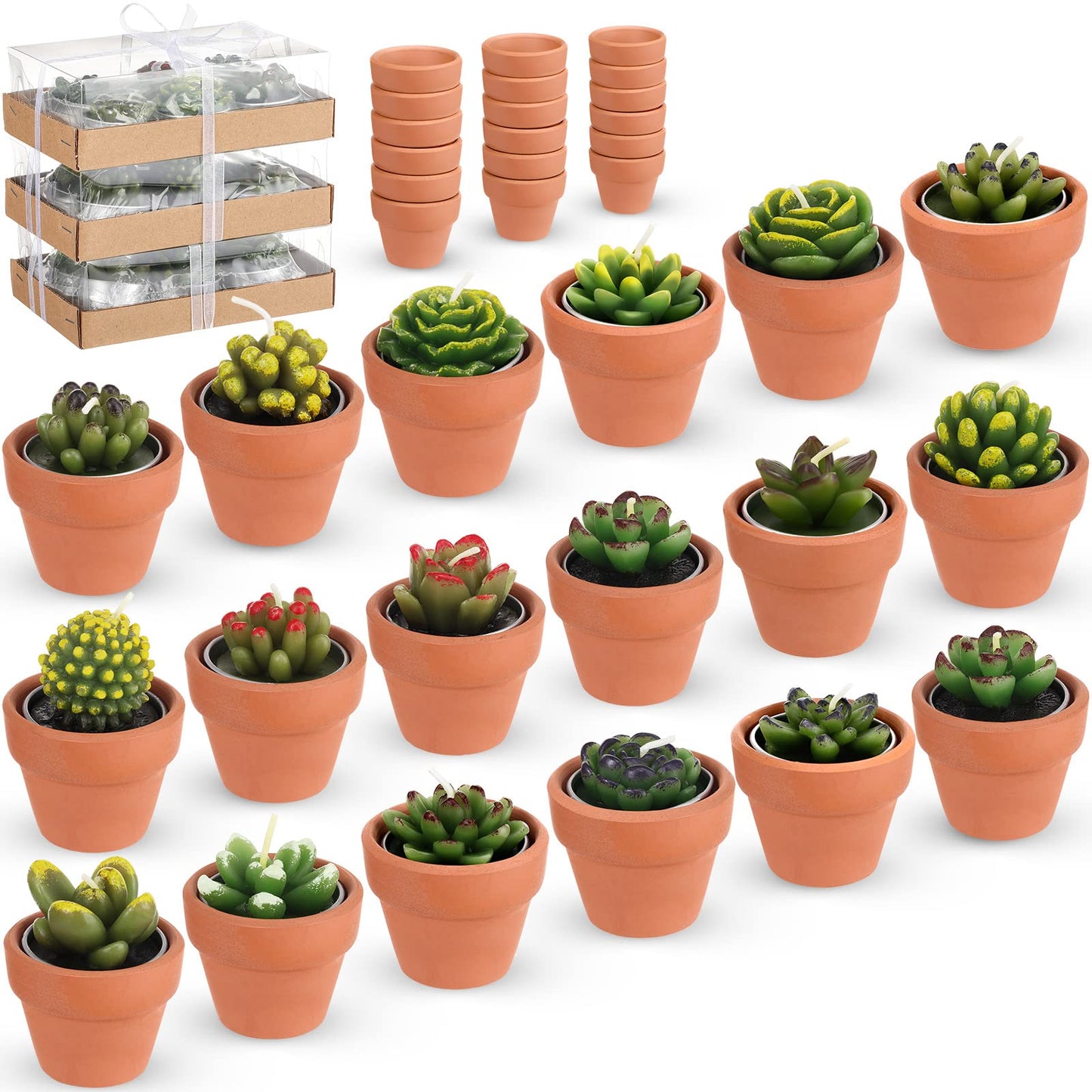 Treela 18 Pcs Succulent Cactus Tealight Candles Handmade Tea Lights Baby Shower Plant Candle Gift with Mini Terracotta Clay Candle Holders for Home Birthday Christmas Wedding Party(Cute)