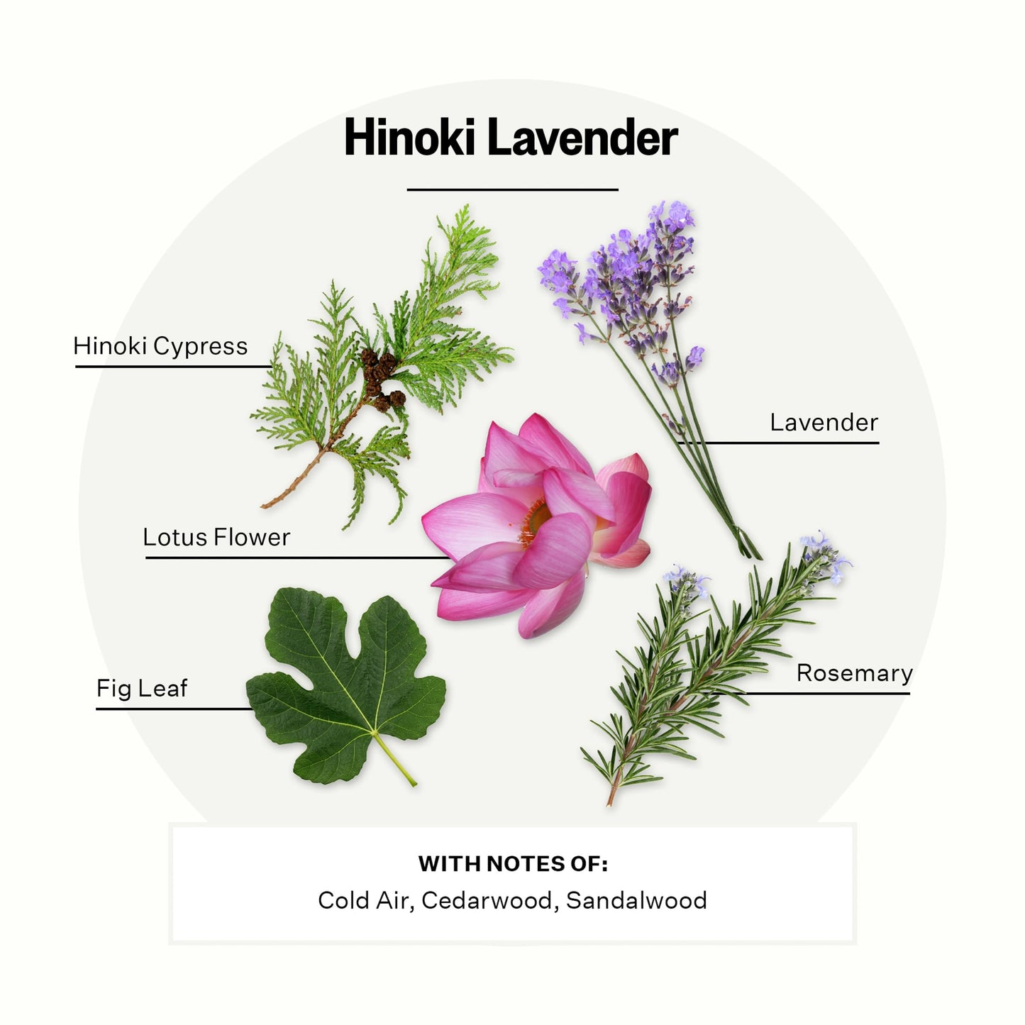 Apotheke Signature Scented Candles for Home, Hinoki Lavender - 10.5 oz - Soy Wax, Non Toxic, Large Jar White - Luxury Candle Gifts for Women & Men - Hinoki Cypress, Lavender, and Lotus Flower