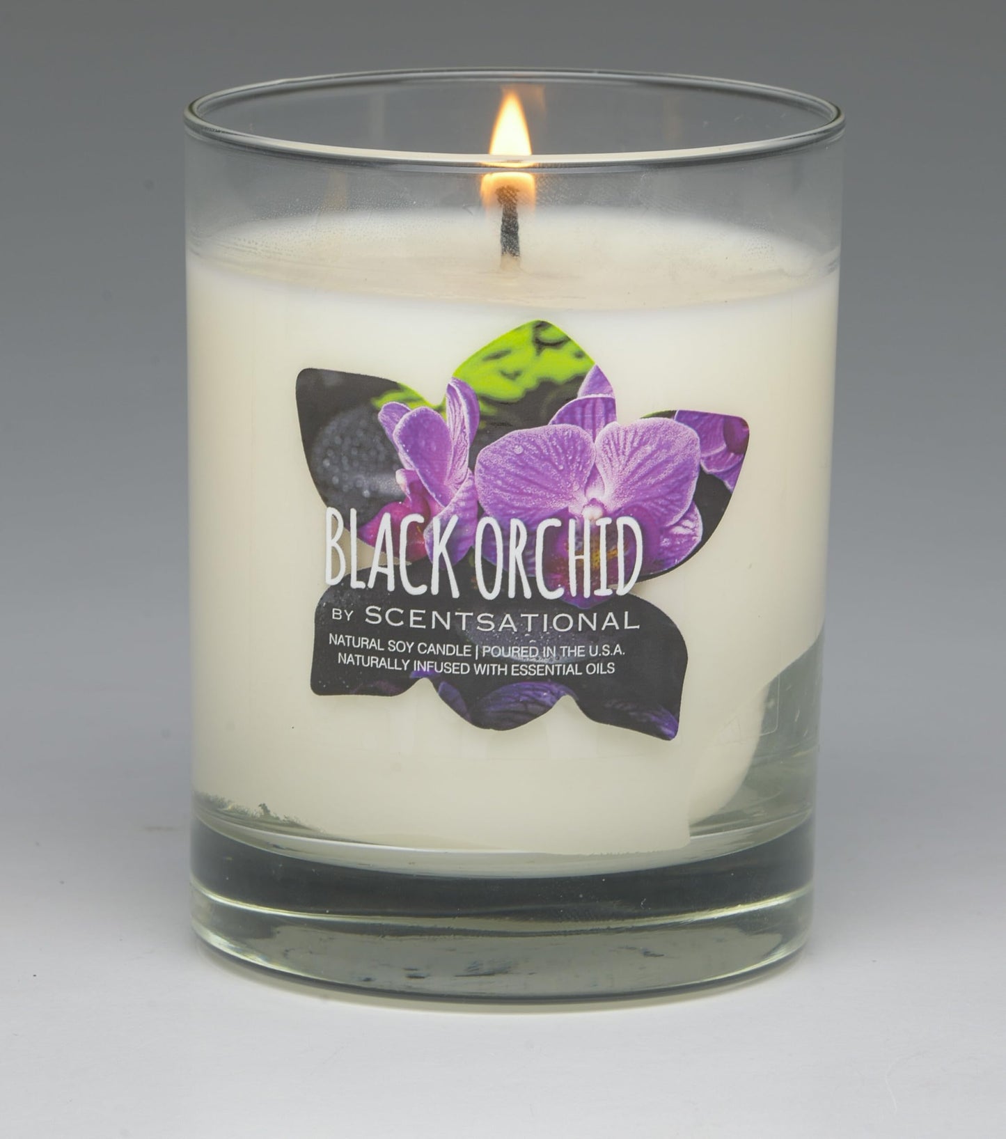 Scentsational Black Orchid Natural Soy Candle, 11 oz, 50-60 Hour Burn Time, Purple Gift Bag