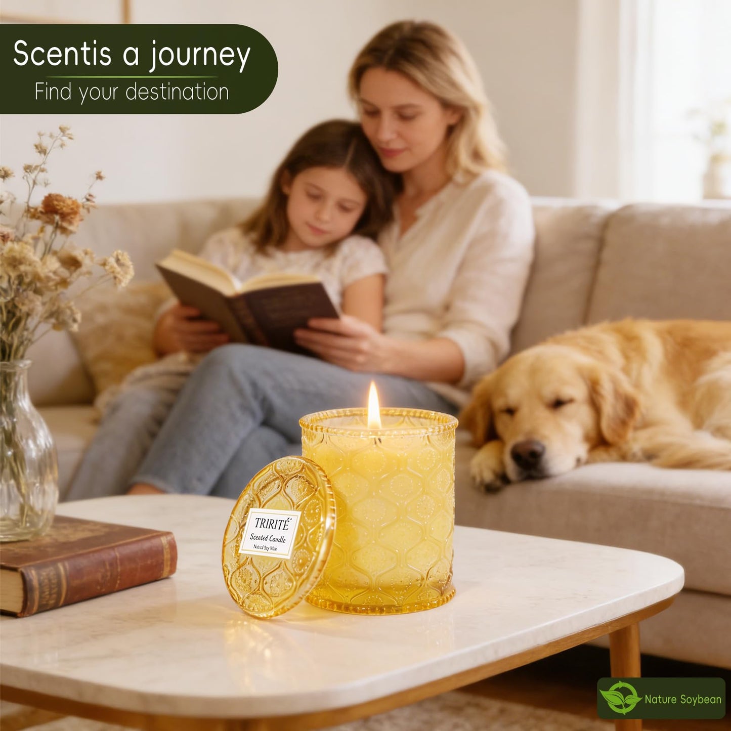 Sandalwood Fig Amber Scented Candles, Natural Soy Wax Jar Candle in Glass 45 Hours Clean Burn, Gift-Ready for Hosts & Gatherings Elegant Home Décor