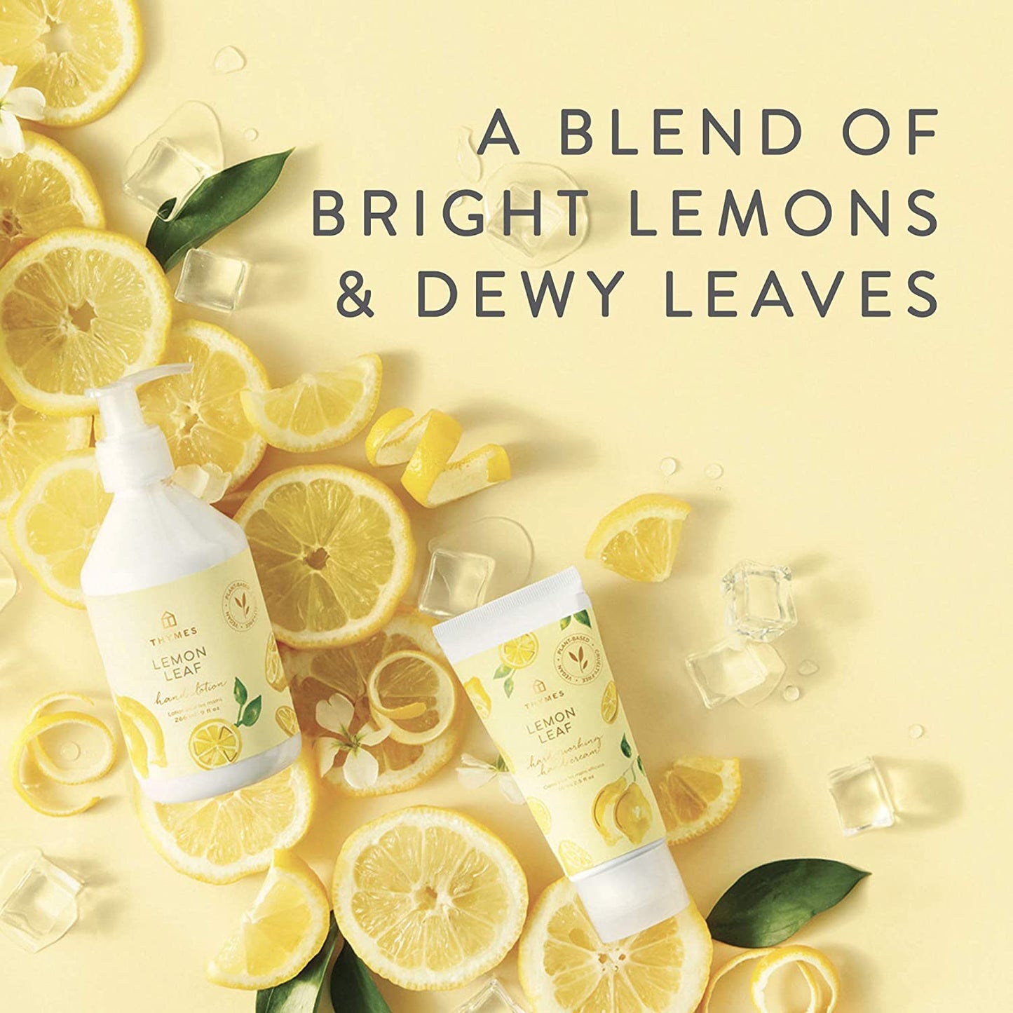 Thymes Lemon Leaf Candle - 8 Oz - Scented Candle for a Fresh Home Fragrance - Aromatherapy Candle in Glass Jar - Matte White Jar