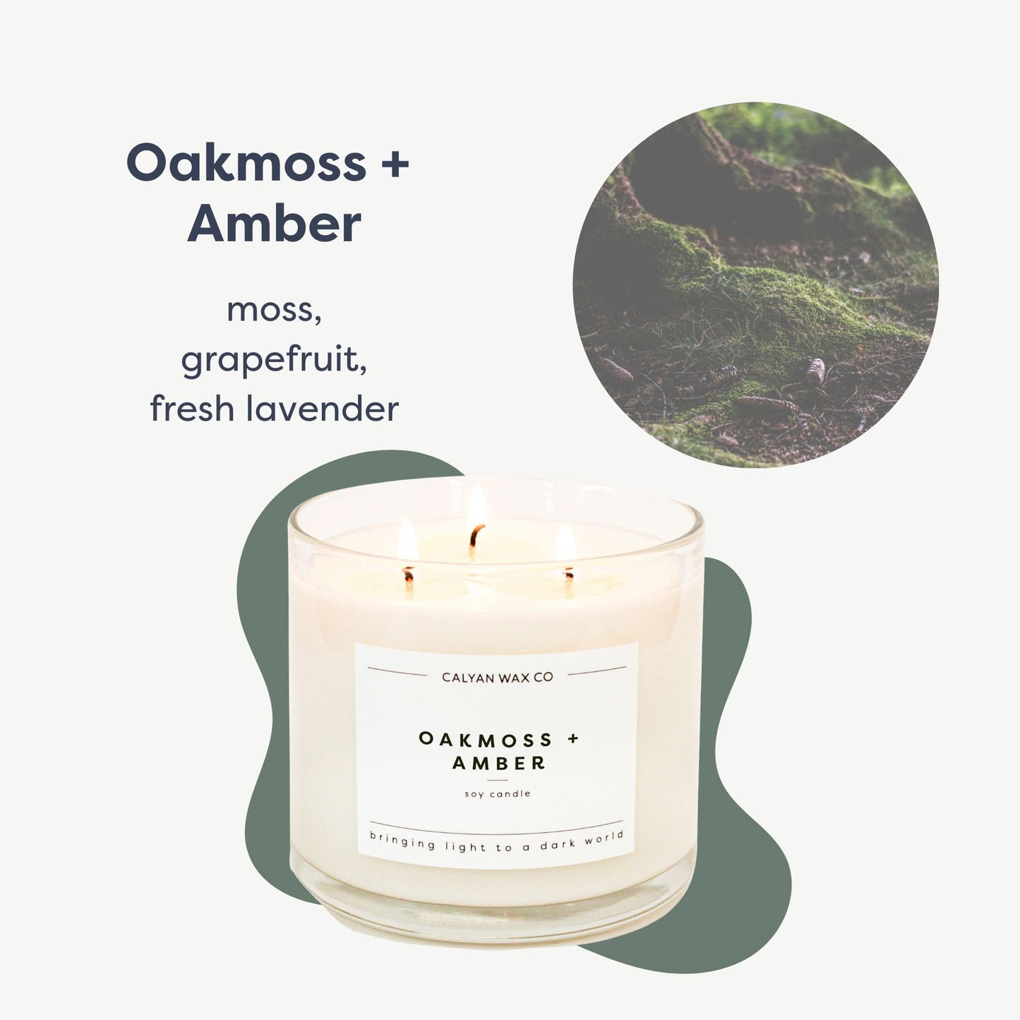 Calyan Wax Co. Oakmoss & Amber 3 Wick Scented Candle - 43 Hour Burn - Luxury 3 Wick Soy Candles - Clean Soy Wax Candles - Long Lasting Large Glass Jar Candle for Home - 14.9oz