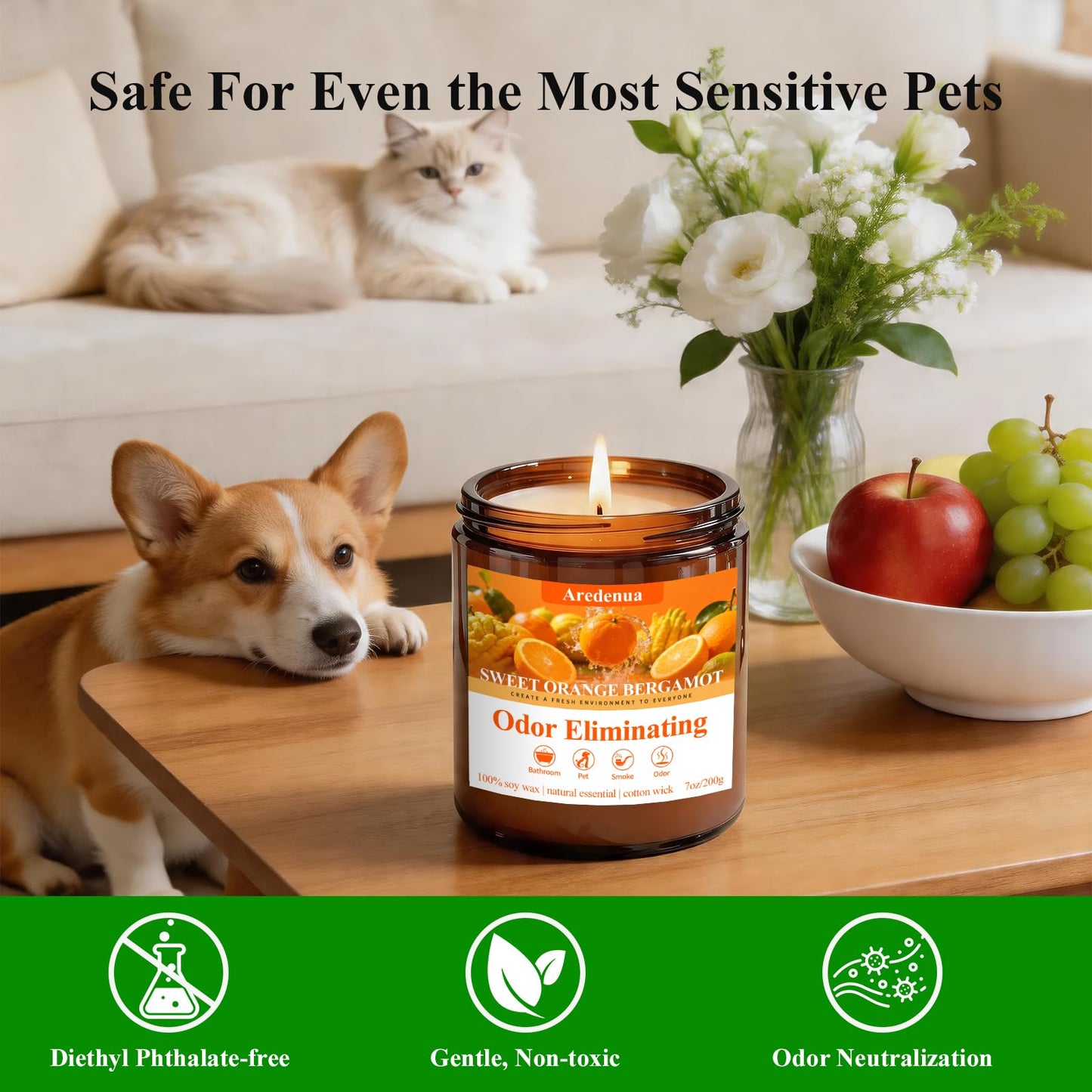 Aredenua Sweet Orange Bergamot Odor Eliminating Candle | Eliminates 95% of Pet, Smoke & Bathroom Odors | 7oz Hand Poured Non-Toxic Soy Candle | Air Freshening Scented Candle for Positive & Relaxation