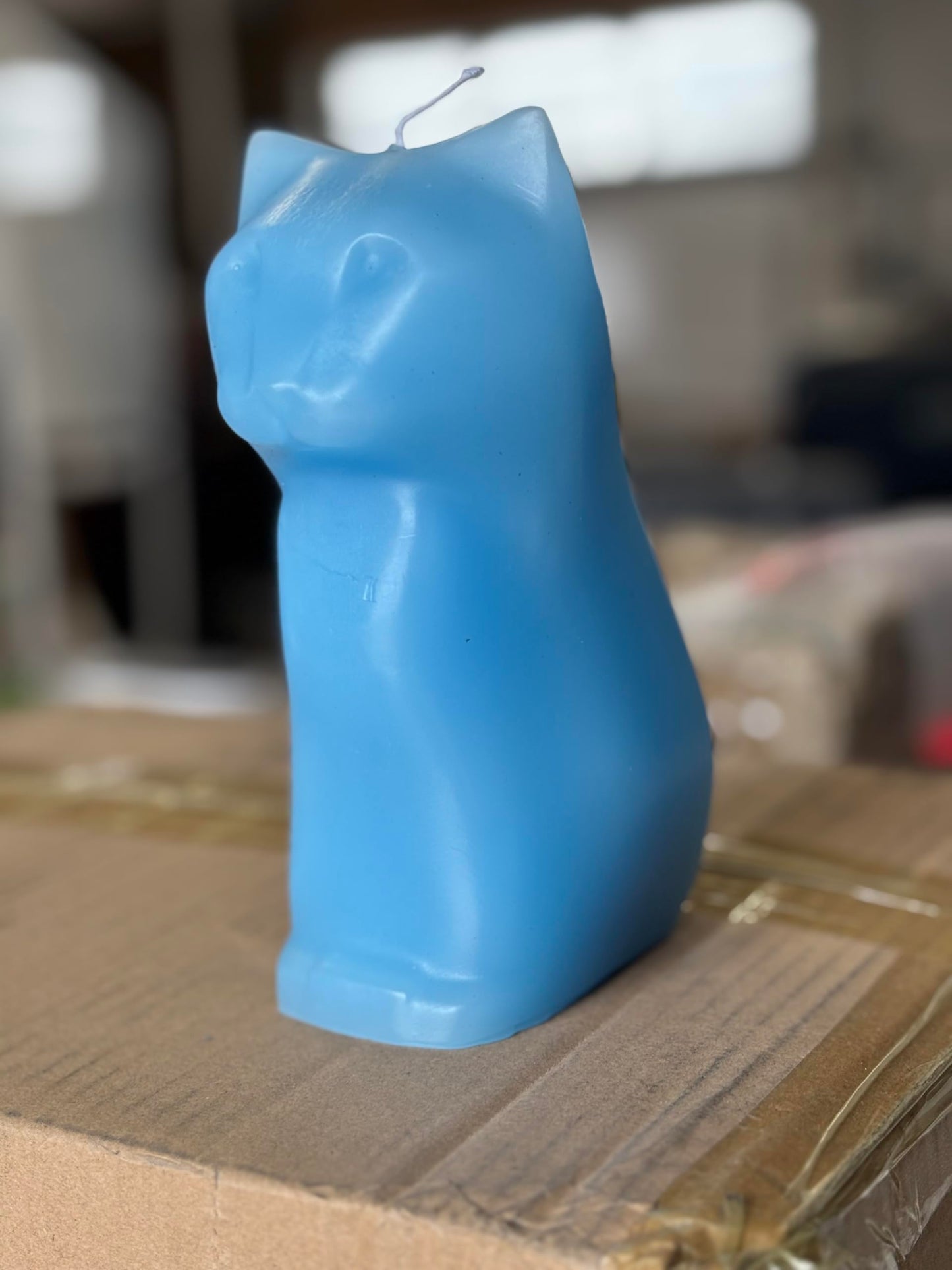 Hidden Skeleton Cat Candle (Blue)