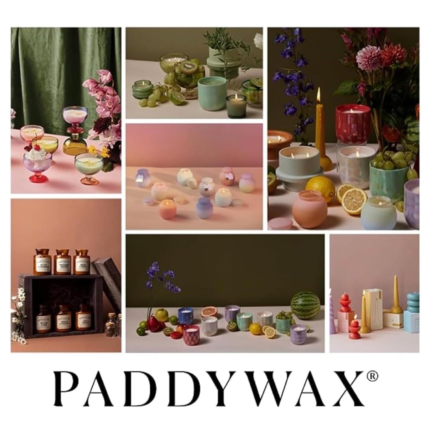 Paddywax Artisan Apothecary Scented Candle with Lid in Reusable Glass Jar, Clean-Burn Soy Candle with Approx. 54 Hour Burn Time, Pumpkin & Spice, 8 oz.