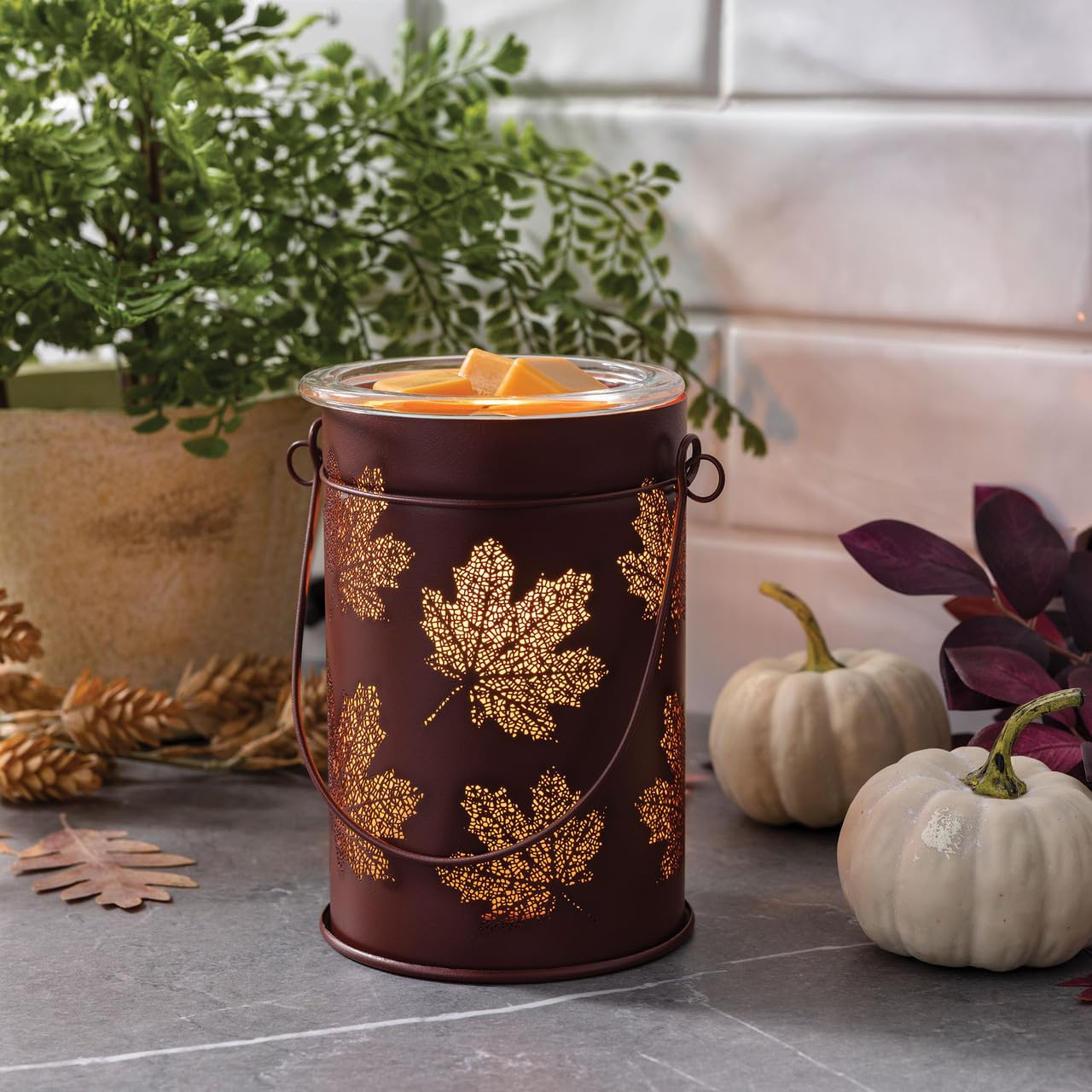 Candle Warmers Etc. Vintage Bulb Illumination Fragrance Warmer- Light-Up Warmer for Warming Scented Candle Wax Melts and Tarts to Freshen Room, Fall Leaves