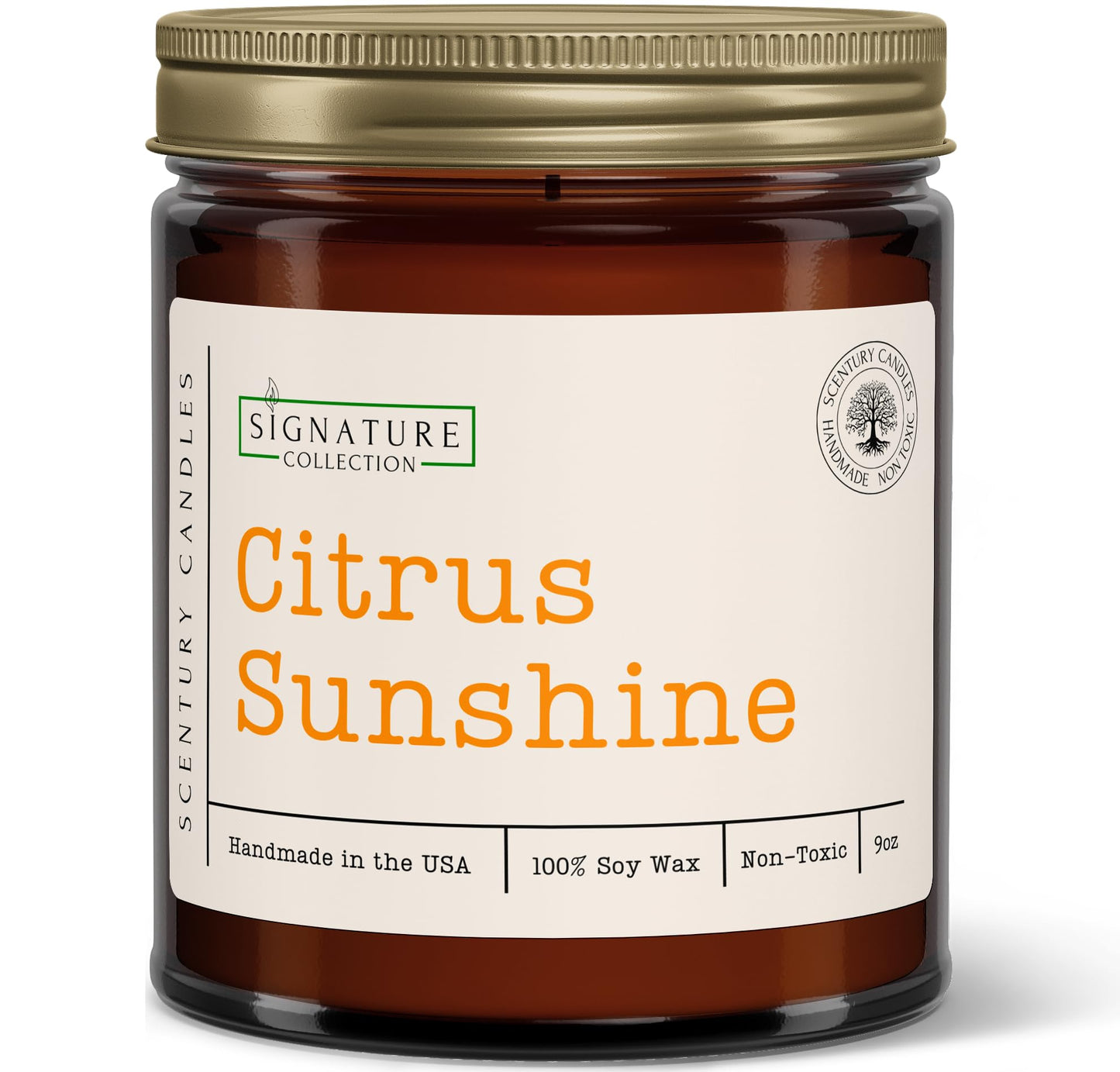 Citrus Sunshine Scented Candle, Many Scents to Choose from, All Natural Non-Toxic Soy Wax, Handmade in The USA (Citrus Sunshine)