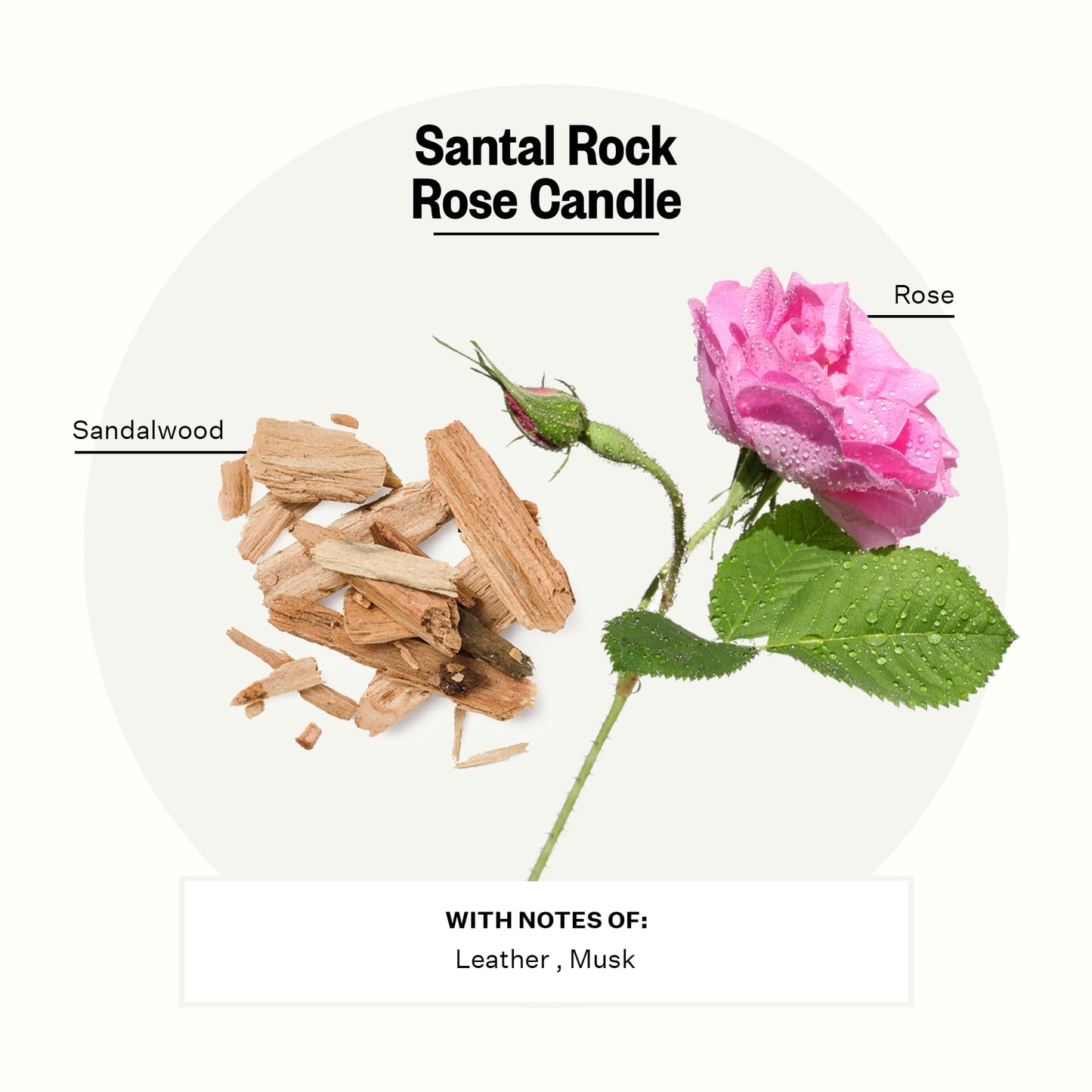 Apotheke Signature Scented Candles for Home, Santal Rock Rose - 10.5 oz - Soy Wax, Non Toxic, Large Jar White - Luxury Candle Gifts for Women & Men - Sandalwood, Rose, Musk, and Leather