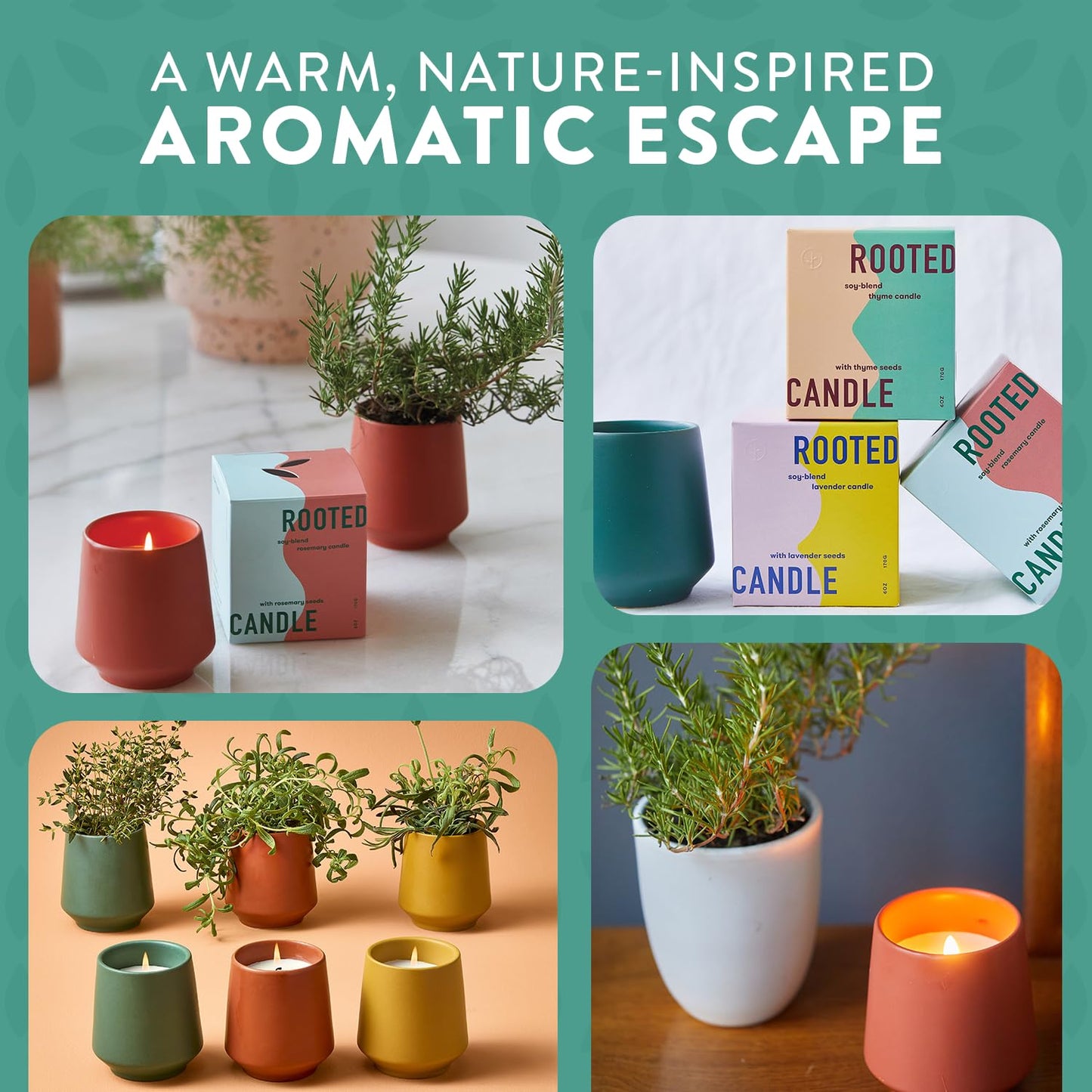 Modern Sprout - 2 in 1 Tonka Bean Scented & Soy Candle with Seeds that Grows into Thyme Plant - 6 oz w/ 42 hr Burn time in Matte Glaze Ceramic Vessel Ideal for Indoor Herb Garden