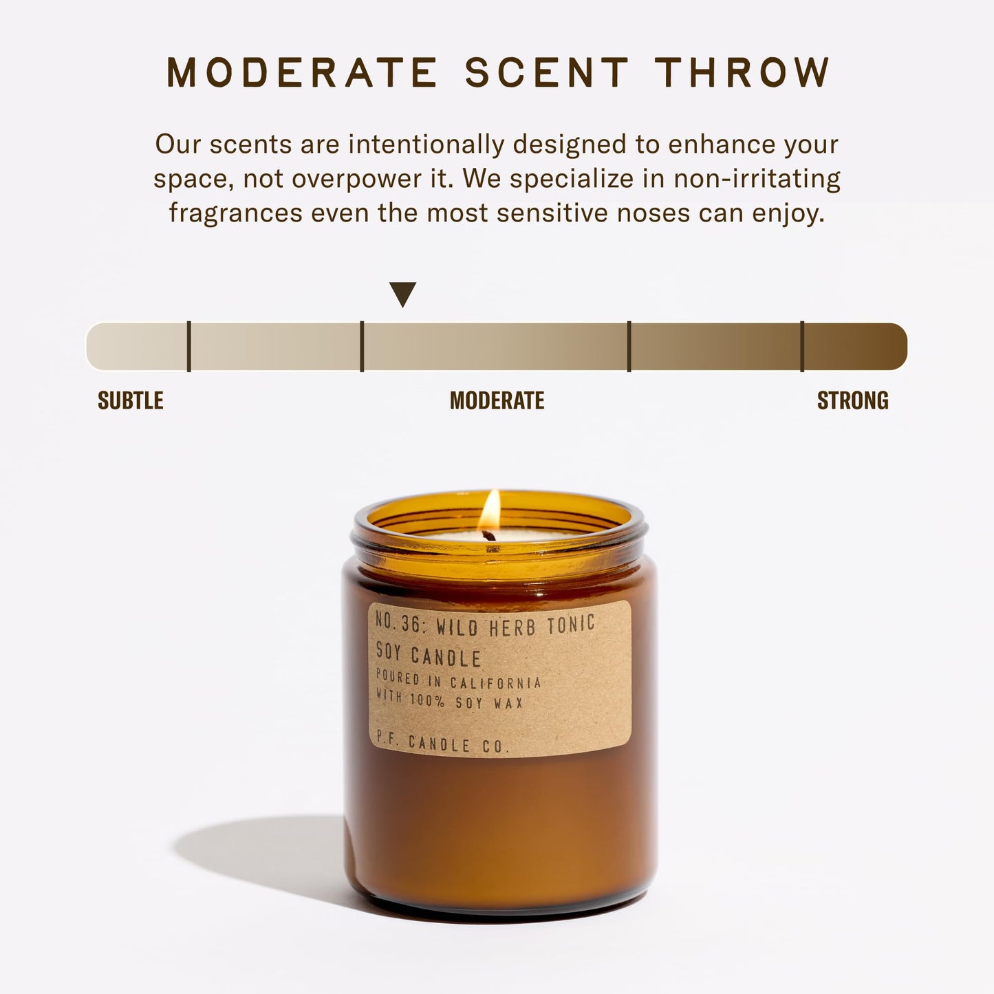 P.F. Candle Co. Wild Herb Tonic Classic Standard Scented Soy Wax Candle (7.2 oz) 40-50 Hour Burn Time, Amber Glass Jar, Made in The U.S.A.