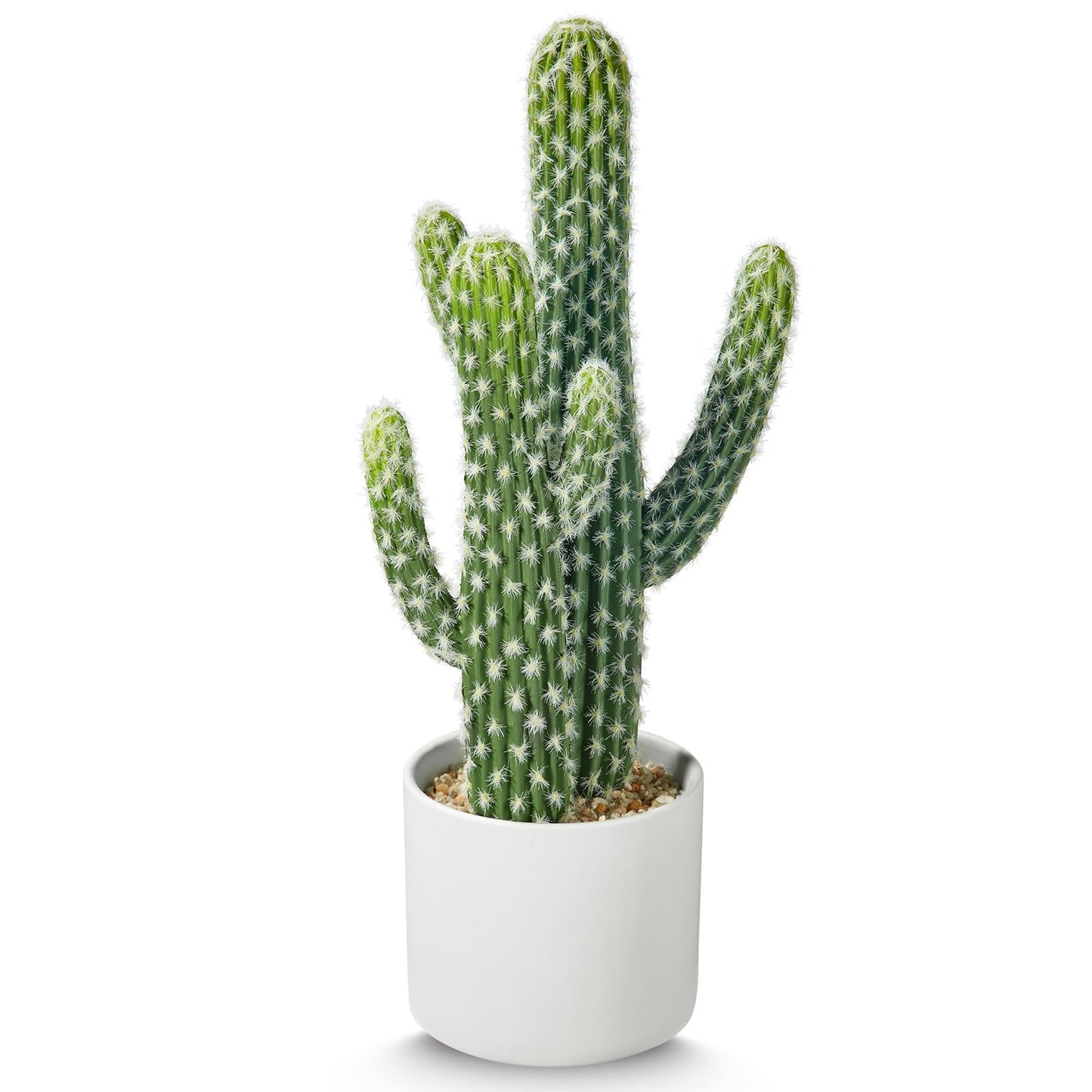 ASTRIDIA Artificial Cactus Plants - Potted Succulents in Ceramic, Faux Cacti and Succulent Decor for Home, Office Desk，Living Room-1pack