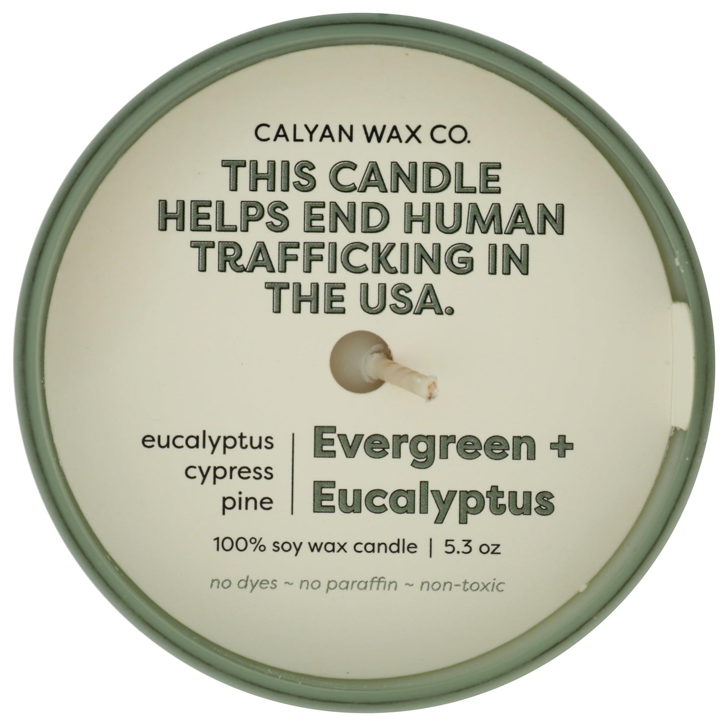 Calyan Wax Co. Dignity Series Evergreen & Eucalyptus Scented Candle - 35 Hour Burn - Luxury Clean Soy Wax Candles - Long Lasting Green Glass Jar Candle for Home - 5.3oz