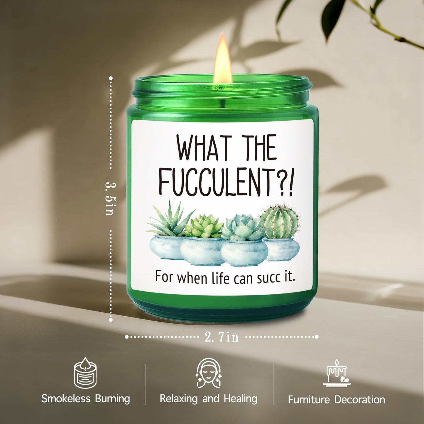 QHLLWT What The F ucculent Candle Gift for Women Men Plant Lovers, Funny Cool Birthday Christmas Gifts for Best Friends Her Him Girlfriend Sister Wife Bestie, Cheer up Lavender & Vanilla candle-48