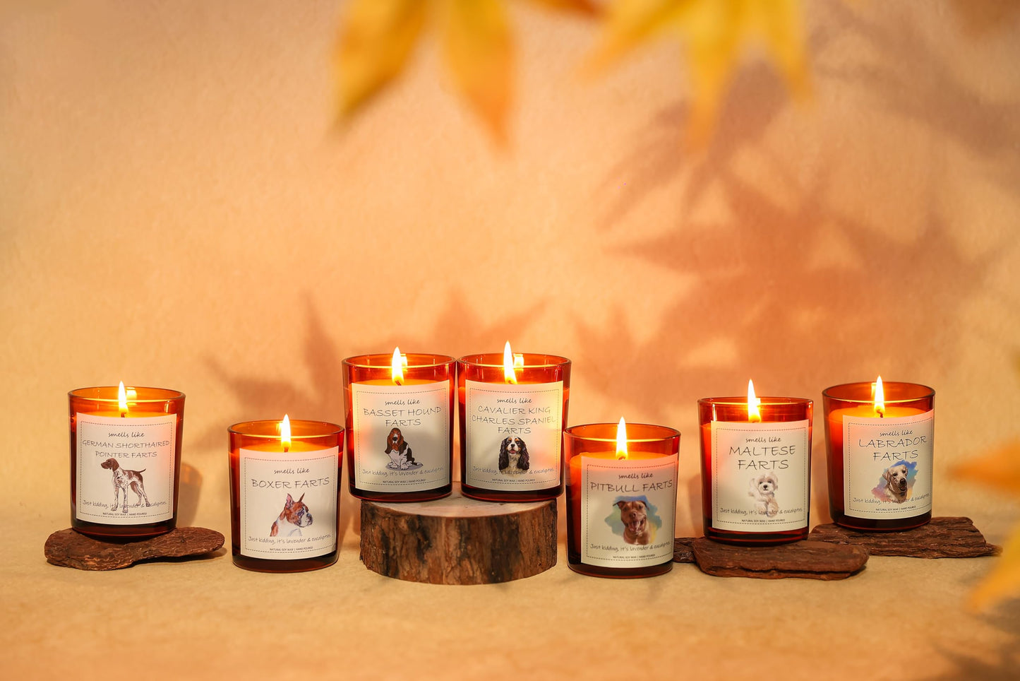 Cavalier King Charles Spaniel Gifts & Decor, King Charles Cavalier Gift, Dog Mom Gifts, Dog Farts Candle - Lavender & Eucalyptus, Crafted by Natural Soy Wax & Natural Essential Oils