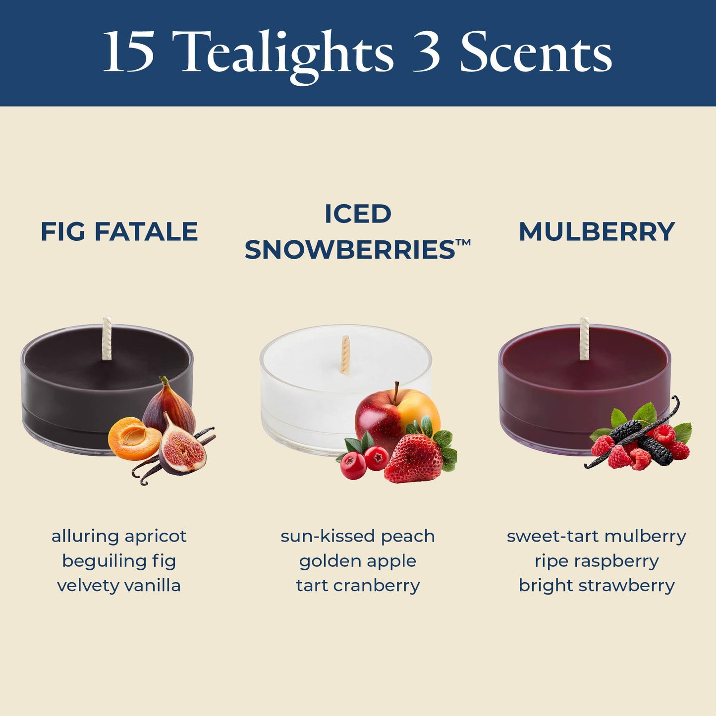 PartyLite Set of 12 Tea Lights Sampler Candles, Aromatherapy You're Fruity Scented Candles Gift Set, Up to 4 to 6 Hours Burn Time