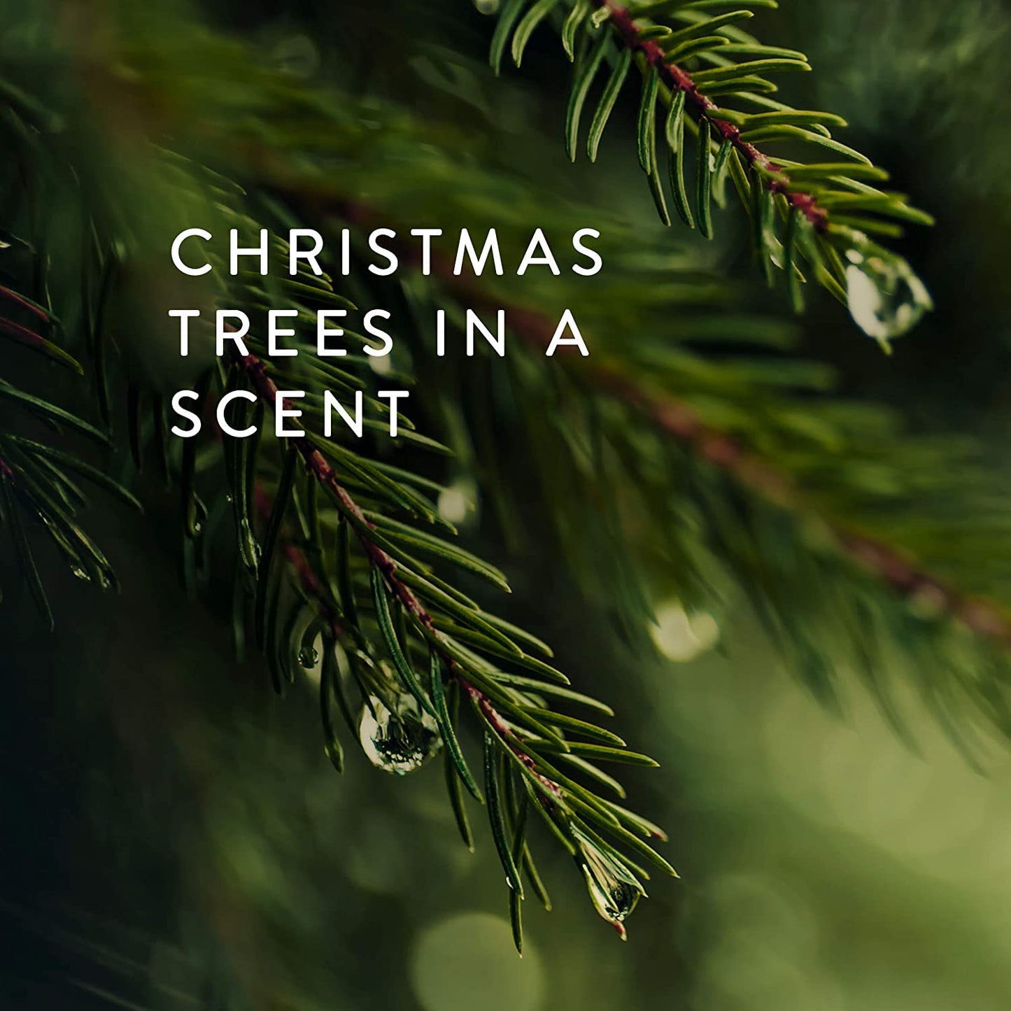 Thymes Frasier Fir Scented Candles for Home Decor - Green Pillar Candles for Women & Men - Place on Candle Holder - Luxury Home Fragrance Gifts - Small (3" x 3" Pillar)