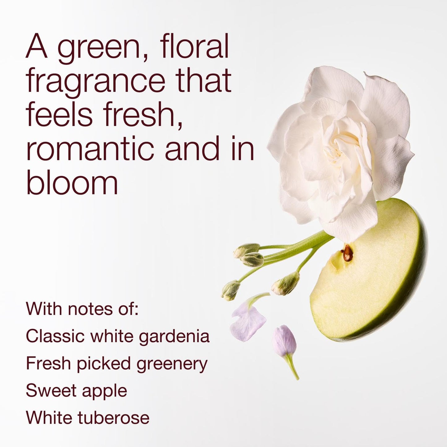 Bath & Body Works White Gardenia 3-Wick Candle - Scented Candle for At-Home Use - Long-Lasting, Room-Filling Fragrance - High Fragrance Oil Concentration - Soy Wax Blend