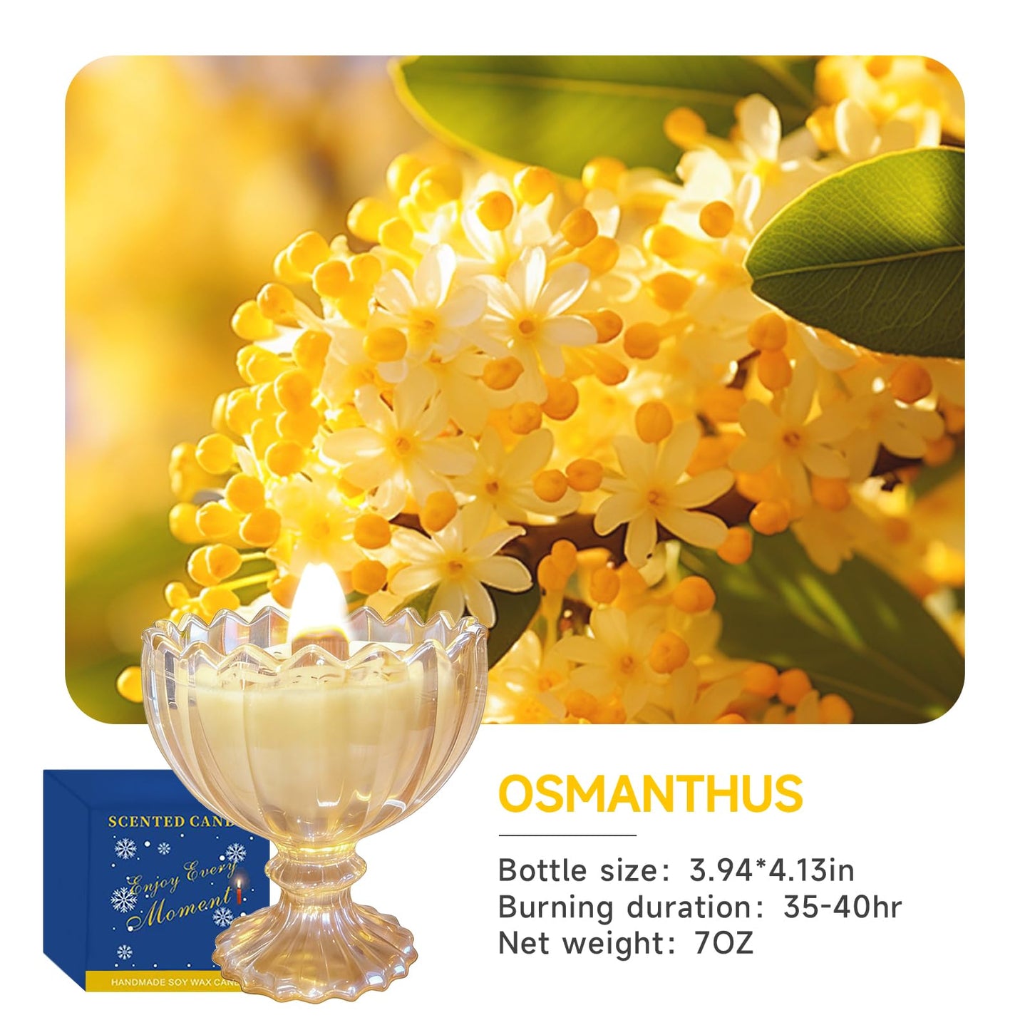 Joo Sko Petal Bowl Shape Soy Wax Osmanthus Scented Candle, Aromatherapy Jar Candles for Home Scented or As a Christmas Holiday Candle Gift for Your Lover(7OZ/48Hours Burning)