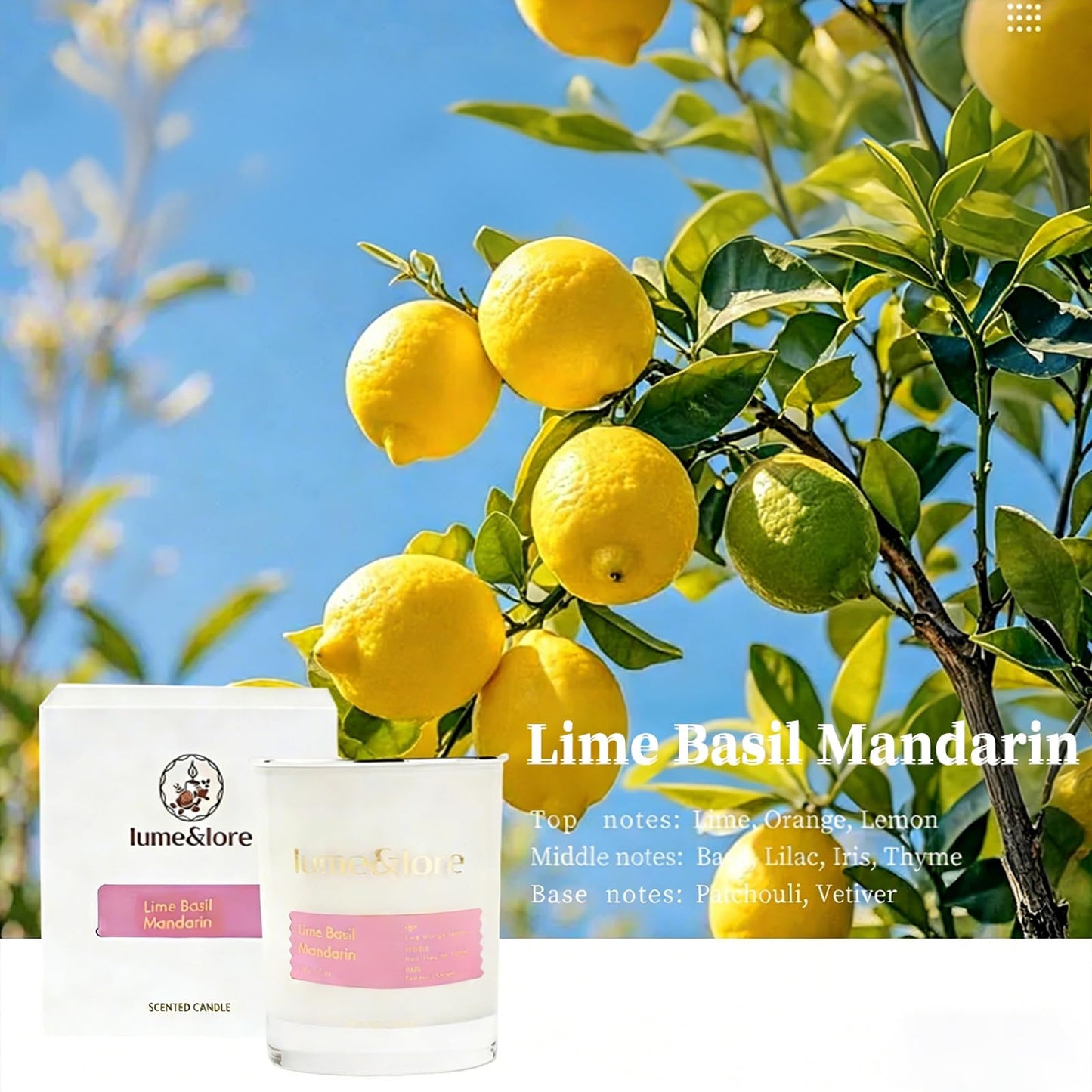 Lime Basil Mandarin Scented Candle - 7oz Natural Soy Wax, Energizing Citrus Aroma for Kitchen & Morning Routine