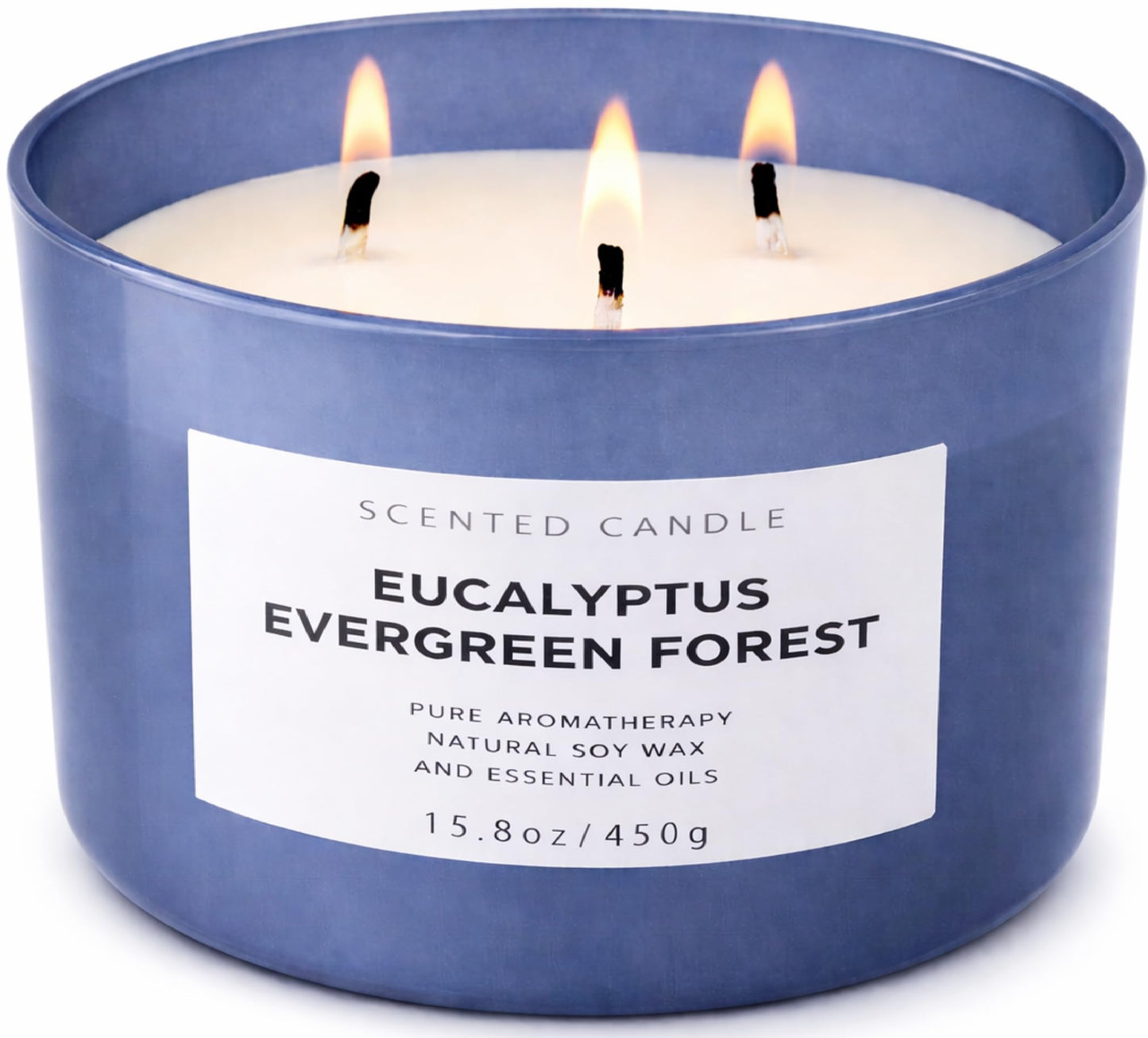 Eucalyptus Evergreen Forest 3-Wick Soy Candle | 15.8 oz Large Scented Candle for Home | Clean Burn Long Lasting | Balsam Fir Fresh Forest Scent | Gift Ready
