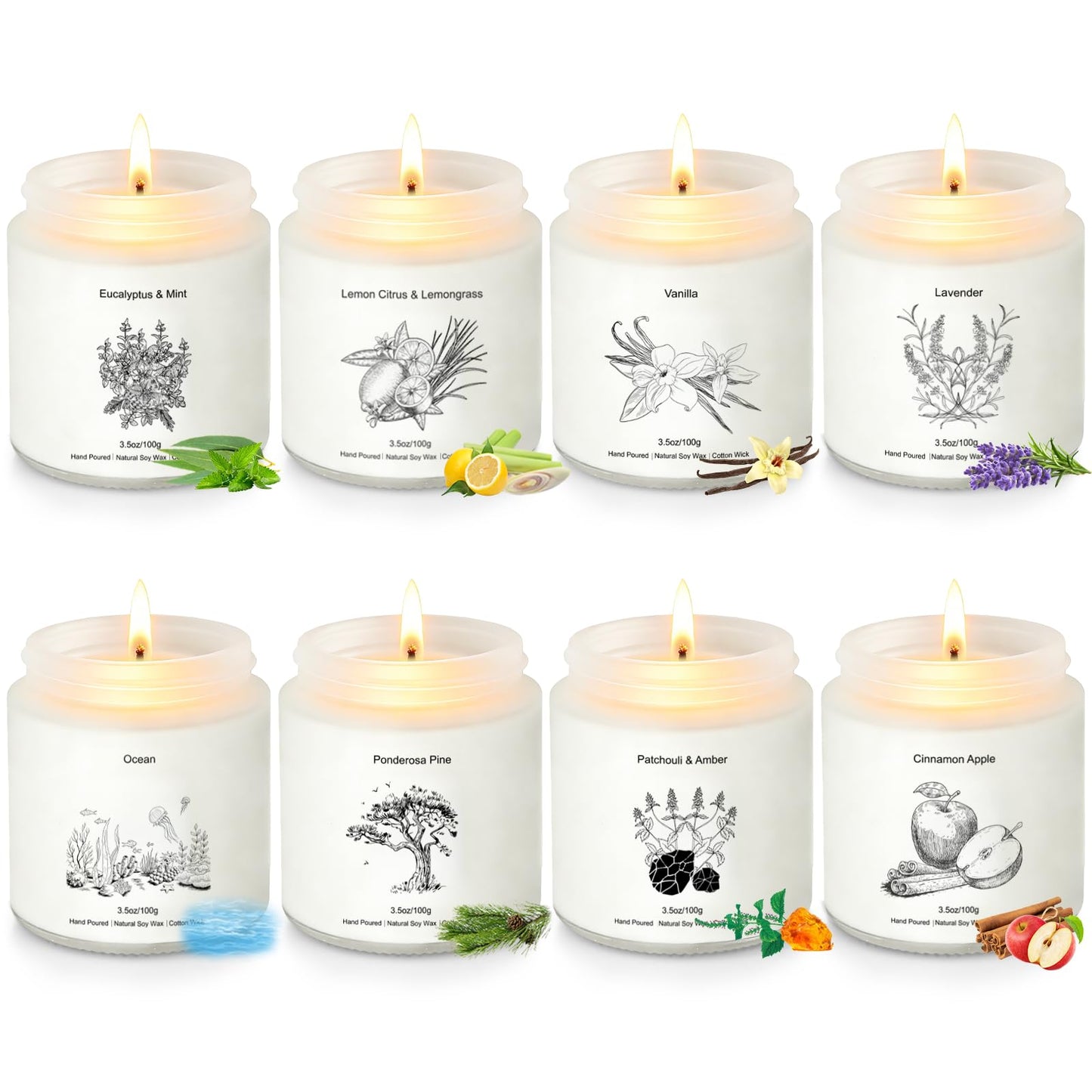 Scented Candles for Home, 8 Pack Soy Wax Gift Set for Women, Aromatherapy Candles, Lavender, Vanilla, Eucalyptus Mint, Ocean