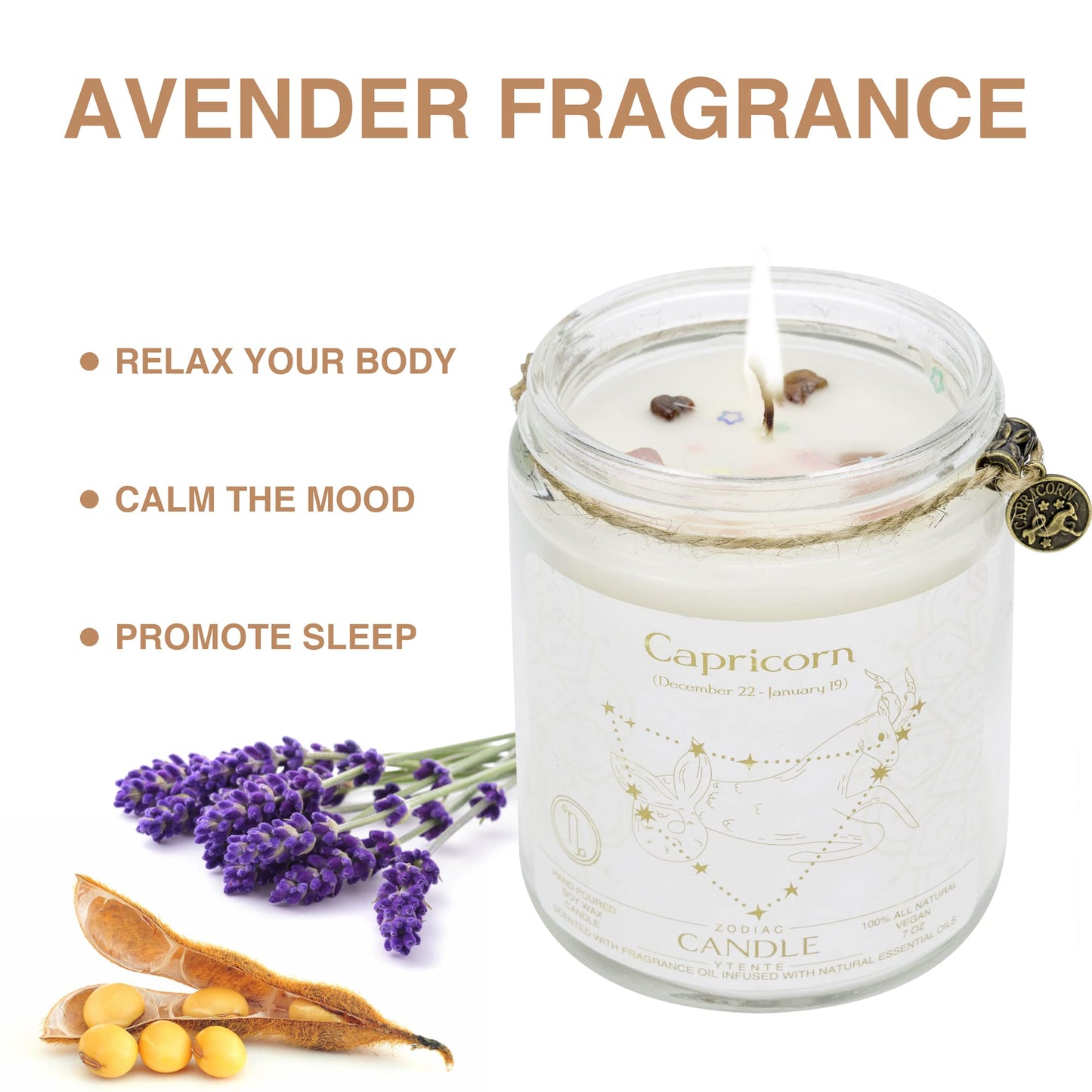 YTENTE Zodiac Sign Candles, Zodiac Crystal Sign Candles,Astrology Scented Candles Best Friends Gifts for Women, Men Sister Brother Zodiac Funny Birthday Gift Candle Jar (Capricorn)