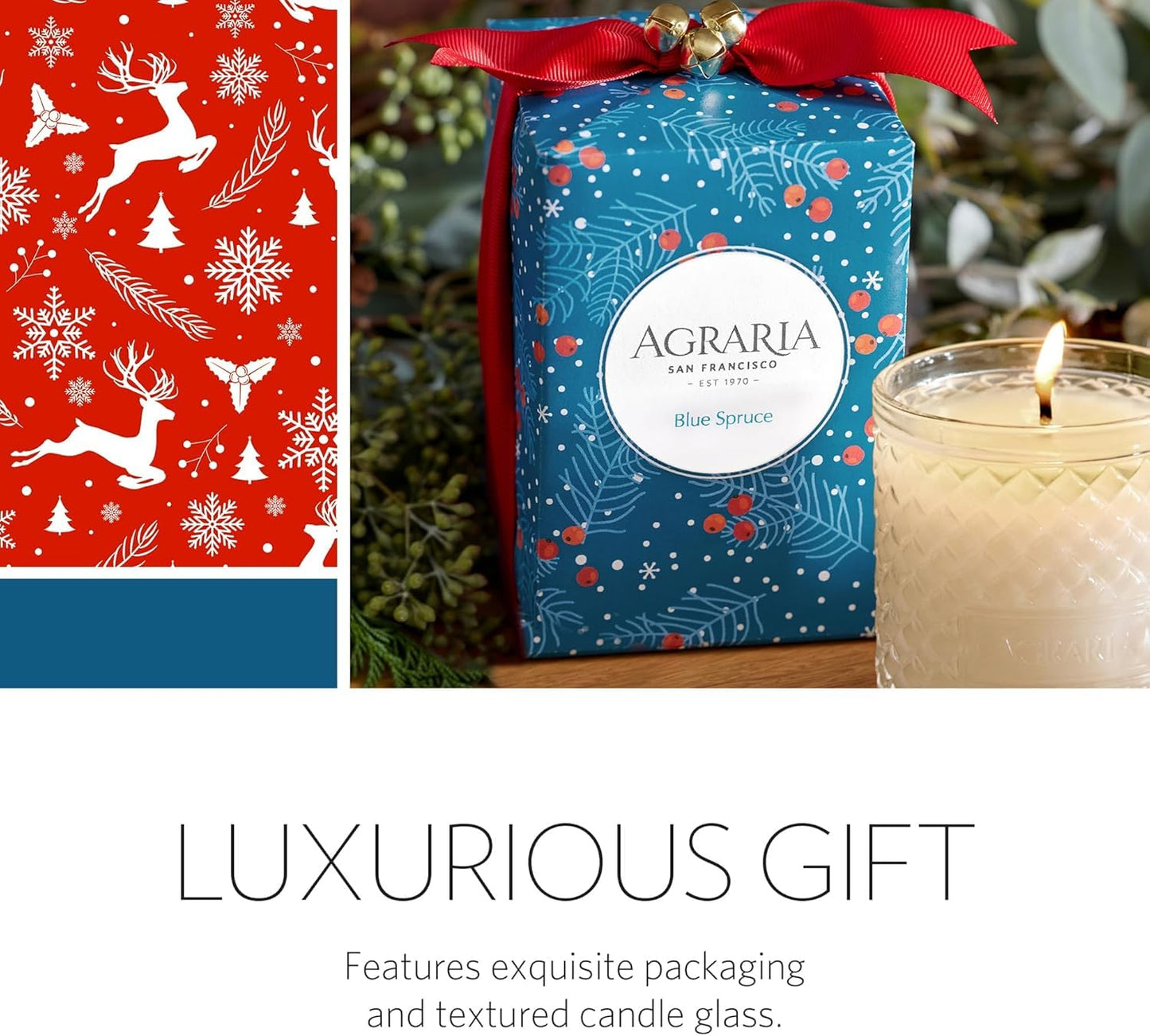 Blue Spruce Holiday Scented Candle, 7oz