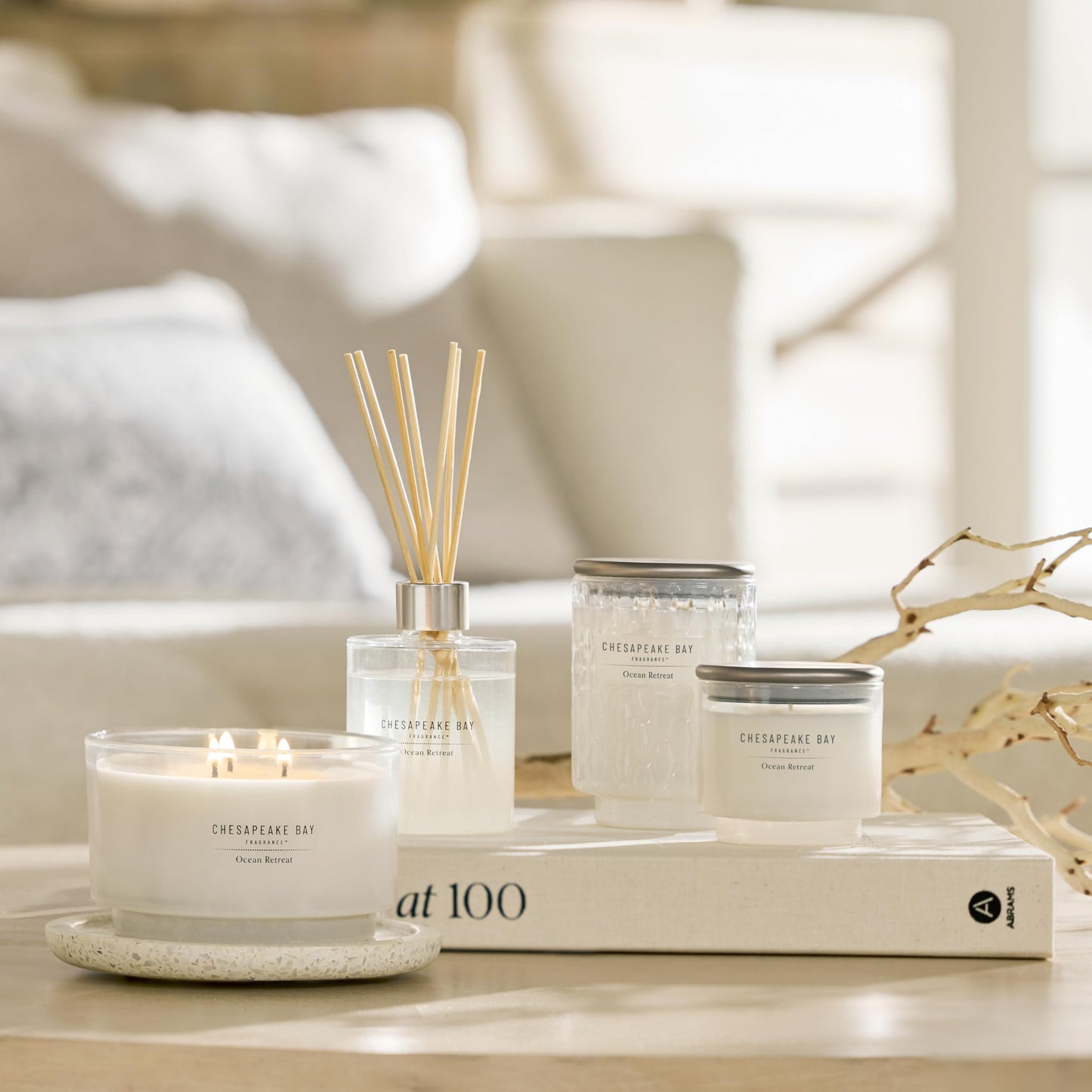 Chesapeake Bay, 8oz Ocean Retreat Scented Candle, Mood Evoking Fragrance, Textured Sea Glass-Inspired Jar, Premium Soy Blend Wax with Essential Oils, Coastal Fragrance for Home Décor or Gifting