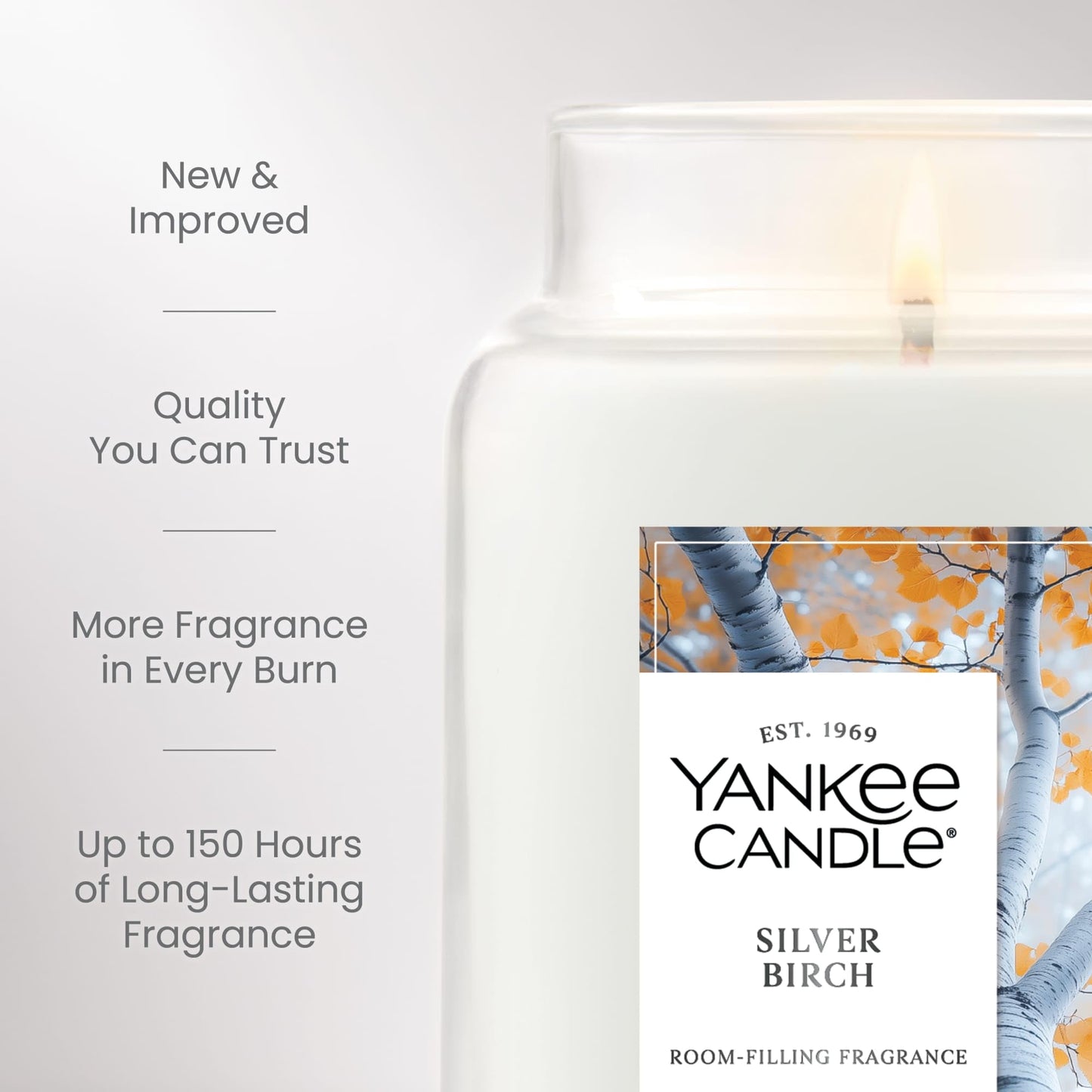 Yankee Candle Silver Birch, Scented Candle, 22oz Large Jar, Up to 150 Hour Burn Time, Giftable