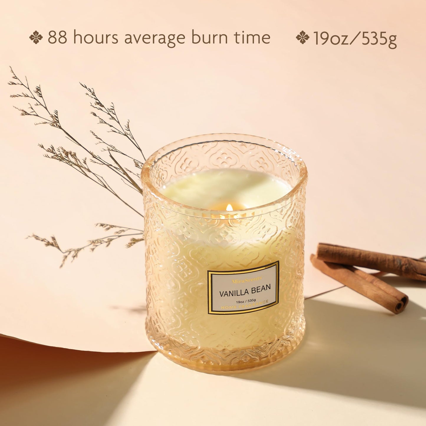 Vanilla Bean Candle, Large Decorative Glass Candle 19oz, Luxury Soy Wax Scented Candle Gift for Women, Home Fragrance for Living Room