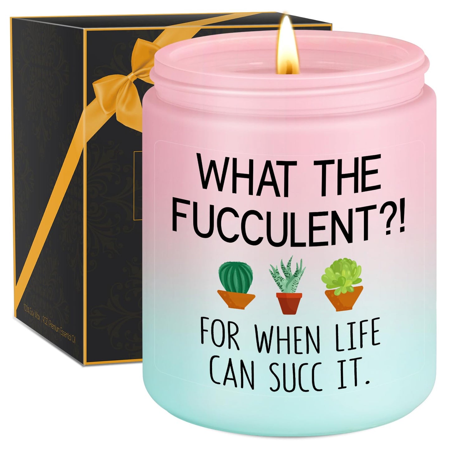 Miracu Succulent Candle, Get Well Presents for Women, Cheer up Idea, Pick Me up, Break up, Plant Lover Gifts for Women, Funny Birthday Mothers Day Cool Gifts for Plant Lovers Mom Lady Friend Wife Her