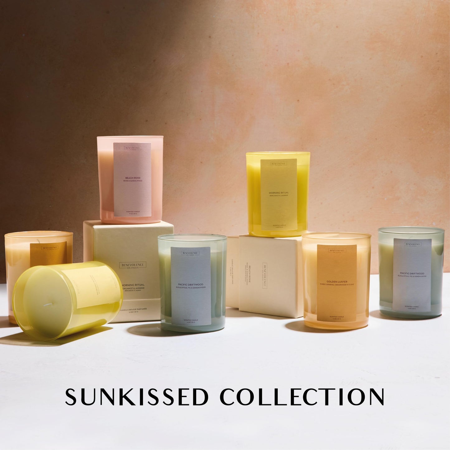 Orange, Cedarwood & Clove Scented Candle | 11oz, 60 Hour Burn | Natural Soy Wax, Cotton Wick | Soy Scented Candles for Home | Sun-Kissed Collection - Golden Luster