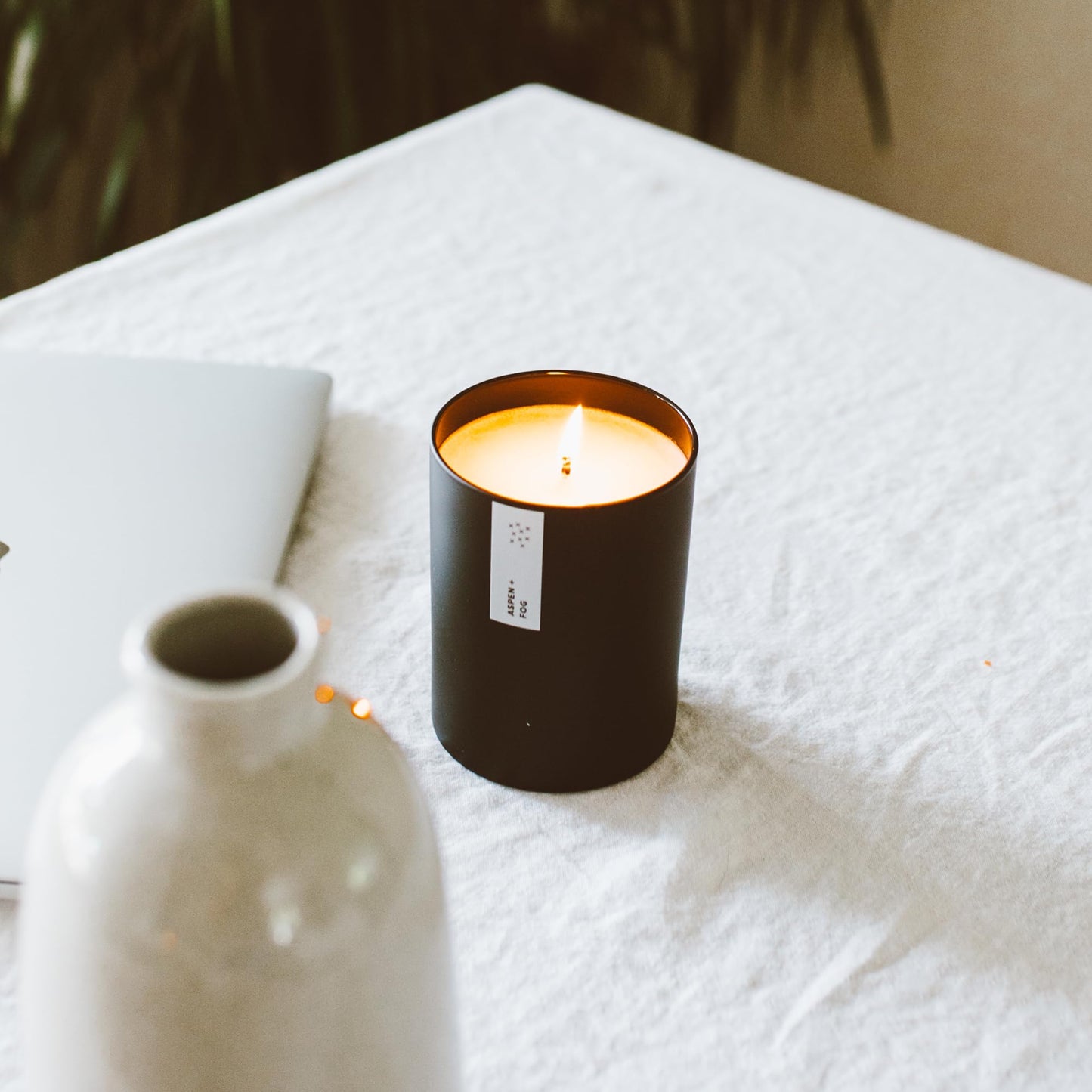 Calyan Wax Co. Aspen & Fog Scented Candle - 75 Hour Burn - Luxury Clean Soy Wax Candles - Long Lasting Black Tumbler Jar Candle for Home - 10.2oz