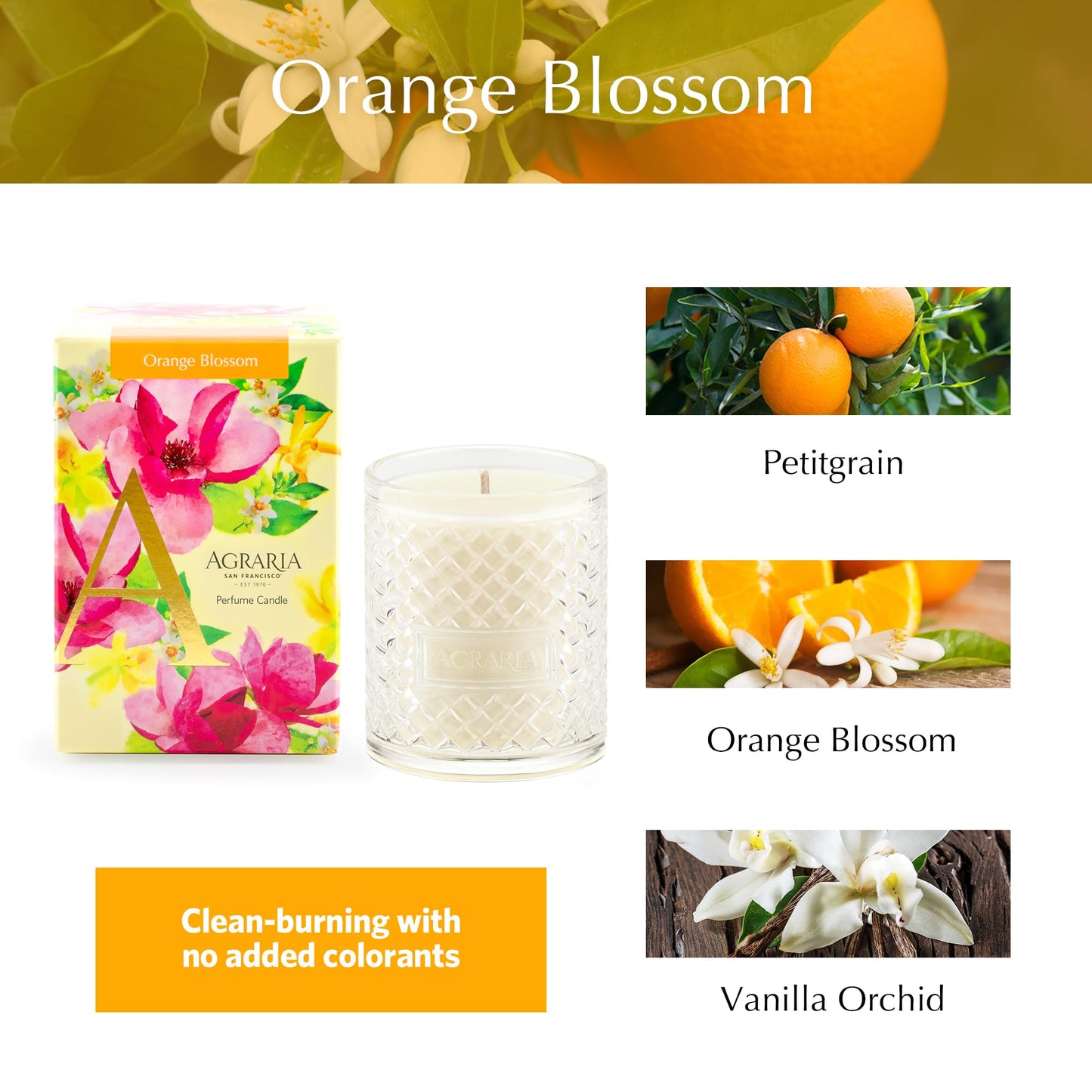 Agraria Orange Blossom Candle, 7 Oz, 40-50 Hours Flicker Time, Fresh Alluring Scented Candle Decor, Fresh Citrus Luxury Candles for Home