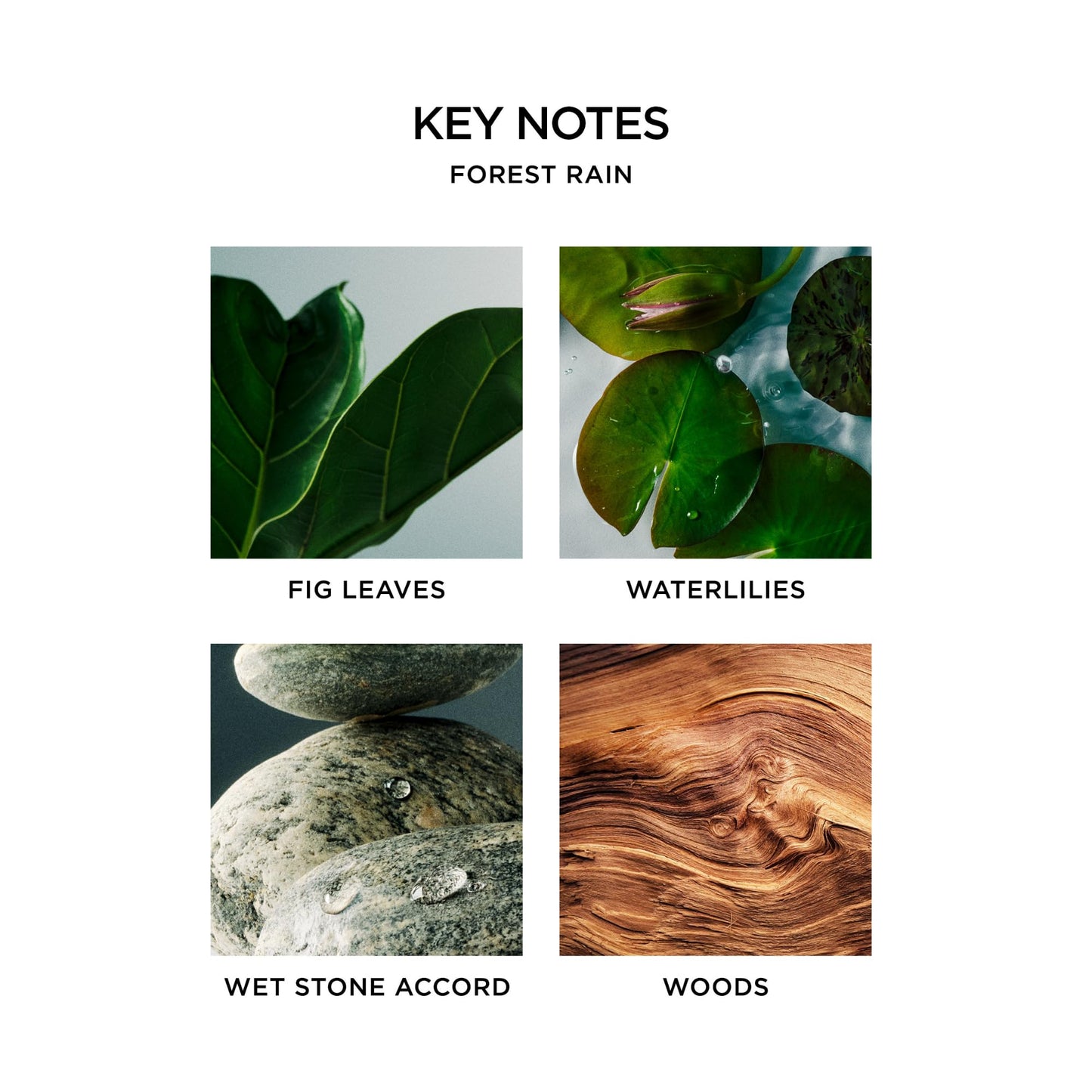 Nest New York Scented Votive Candle, Forest Rain - 2 oz - Up to 28-Hour Burn Time - Reusable Glass Vessel