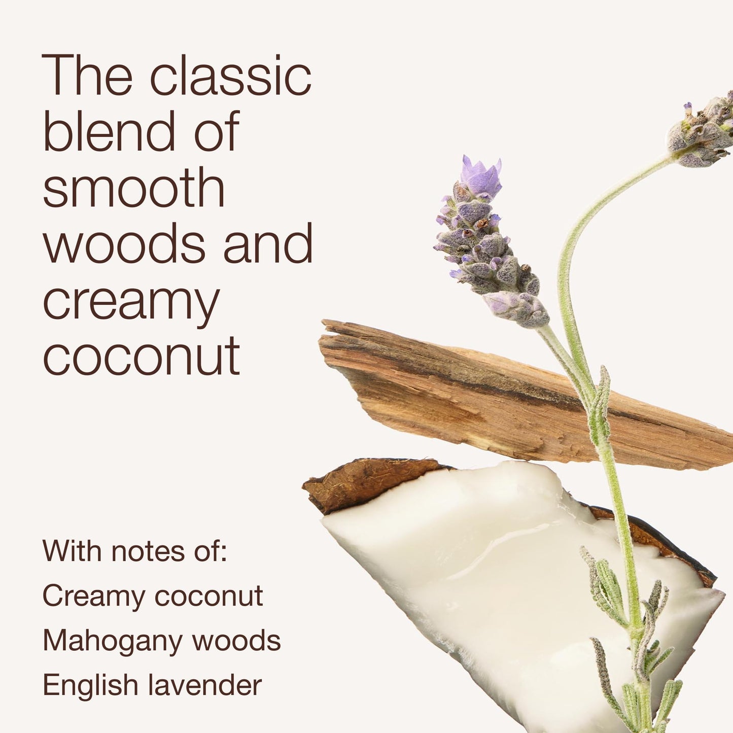 Bath & Body Works 3-Wick Candle, Mahogany Coconut Candle, Strong Throw, Long-Lasting Burn Up to 45 Hours, Exclusively Fragranced Soy Wax Blend, 14.5 oz - 1 Pack