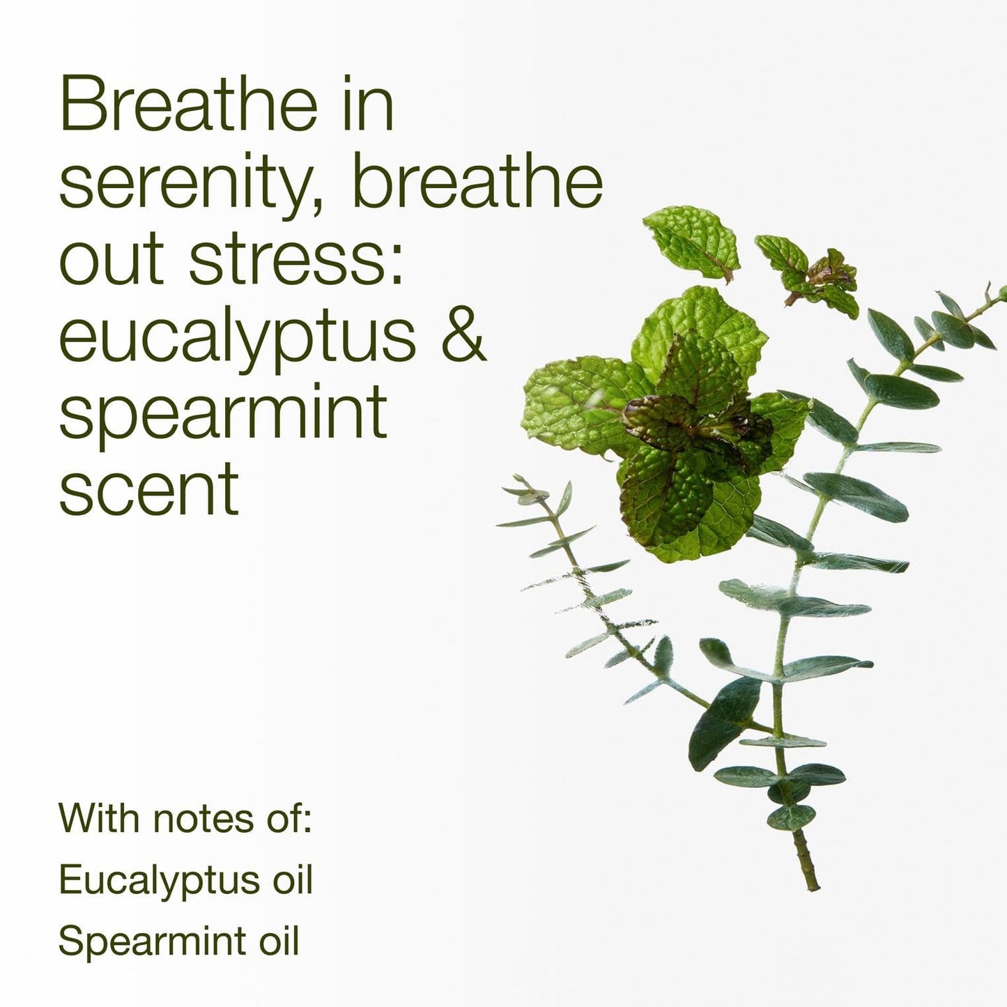 Bath & Body Works Eucalyptus Spearmint 3-Wick Candle - Scented Candle for At-Home Use - Long-Lasting, Room-Filling Fragrance - High Fragrance Oil Concentration - Soy Wax Blend