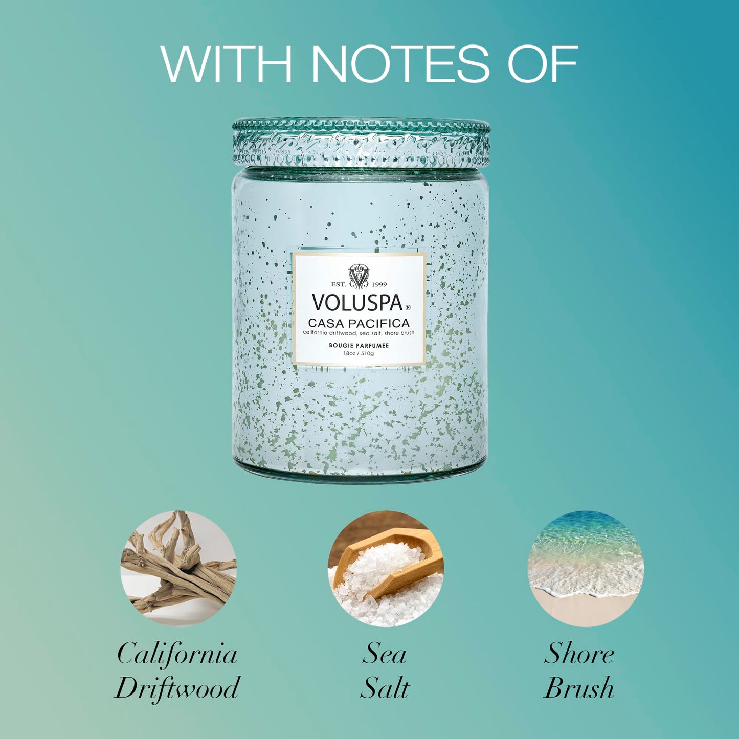 Voluspa Casa Pacifica, Large Candle Jar, 18 oz, 100 Hour Burn Time, All Natural Wicks and Coconut Wax for Clean Burning, Vegan, Poured in the USA