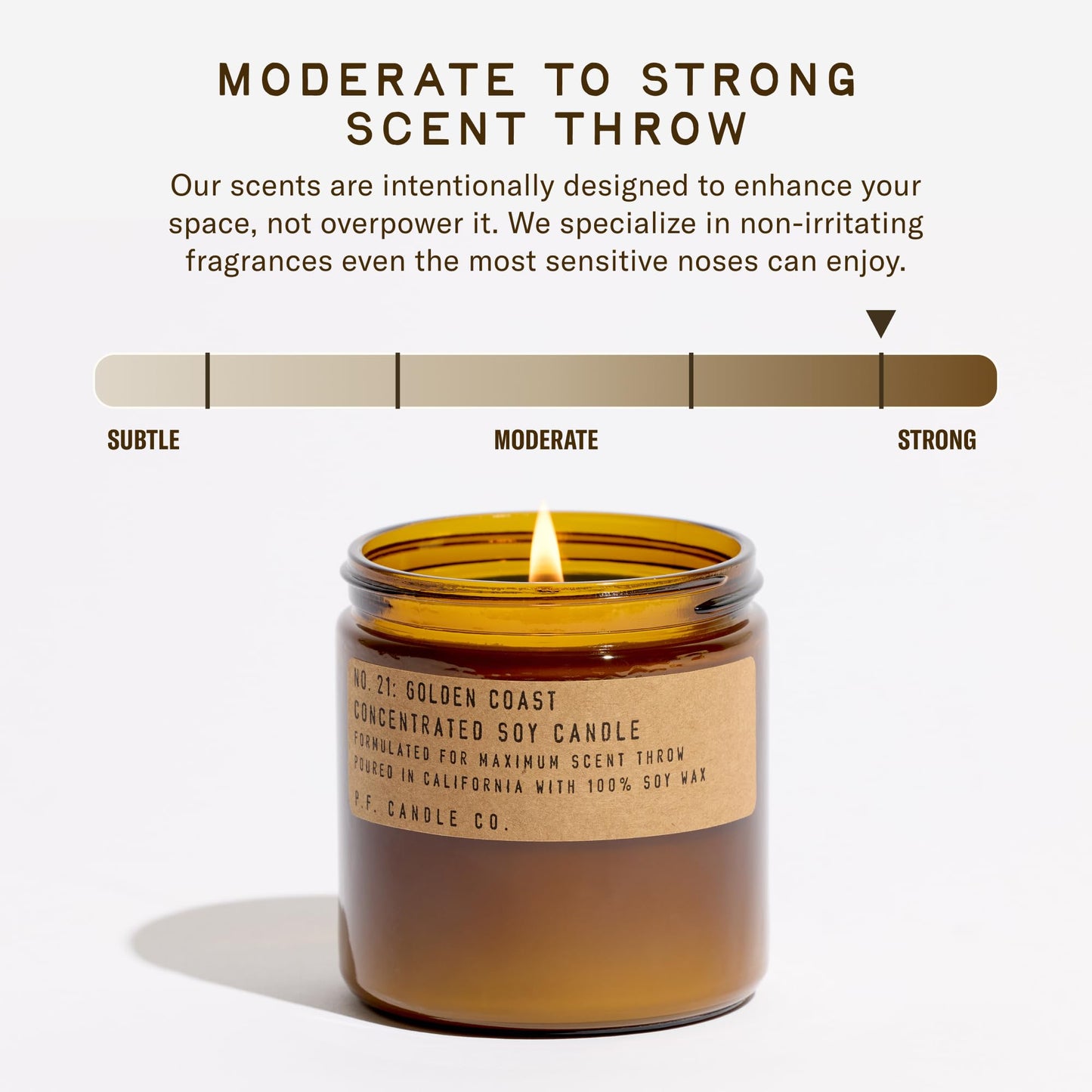P.F. Candle Co. Golden Coast Classic Large Concentrated Scented Soy Wax Candle (12.5 oz) 60-70 Hour Burn Time, Amber Glass Jar, Made in the U.S.A.