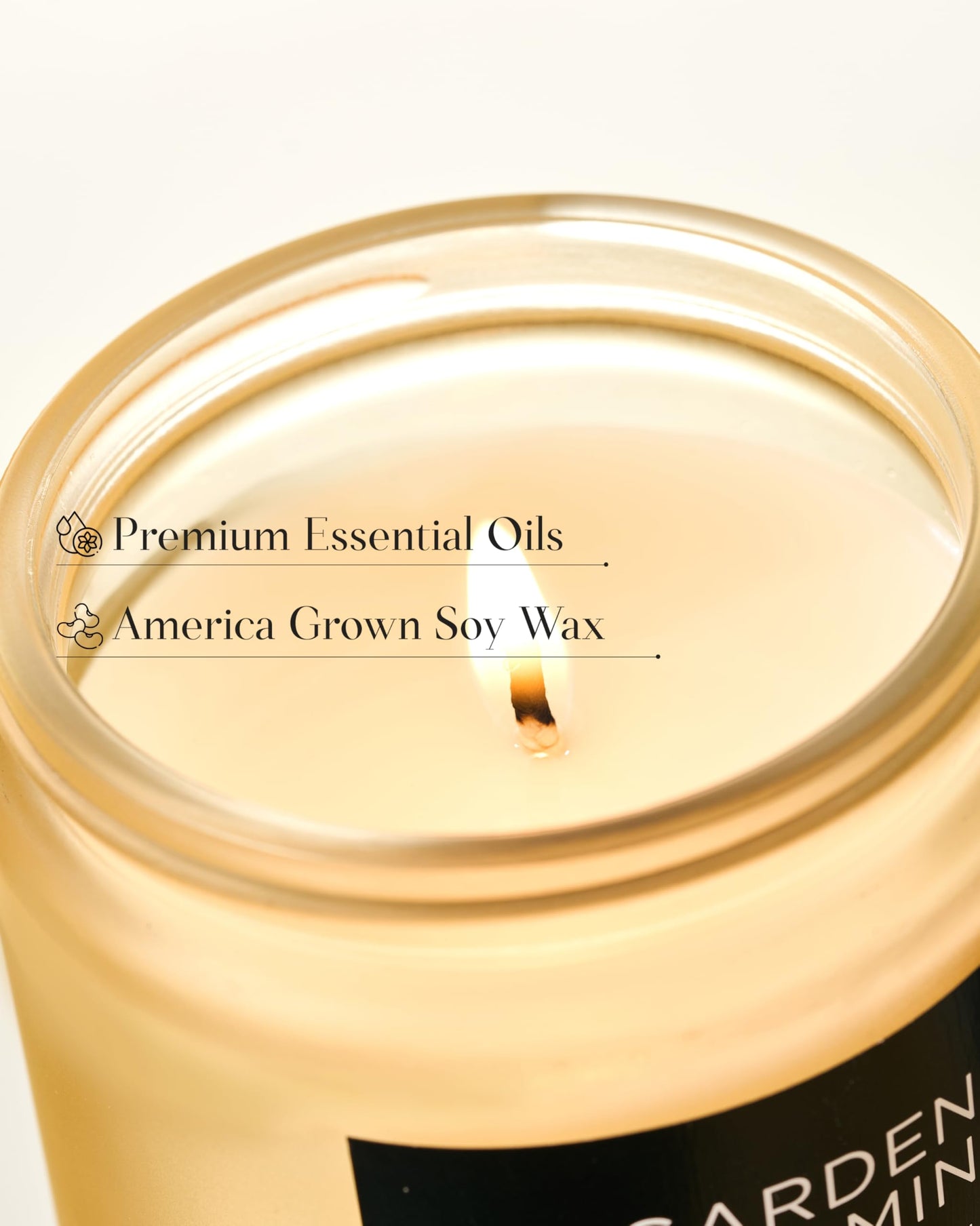 M&SENSE Gardenia Jasmine Scented Candles, 7.05oz Natural Soy Wax, Clean Non Toxic, 50 Hours Slow Burning Floral Scented Aromatherapy Candle for Housewarming Gifts Bath & Office