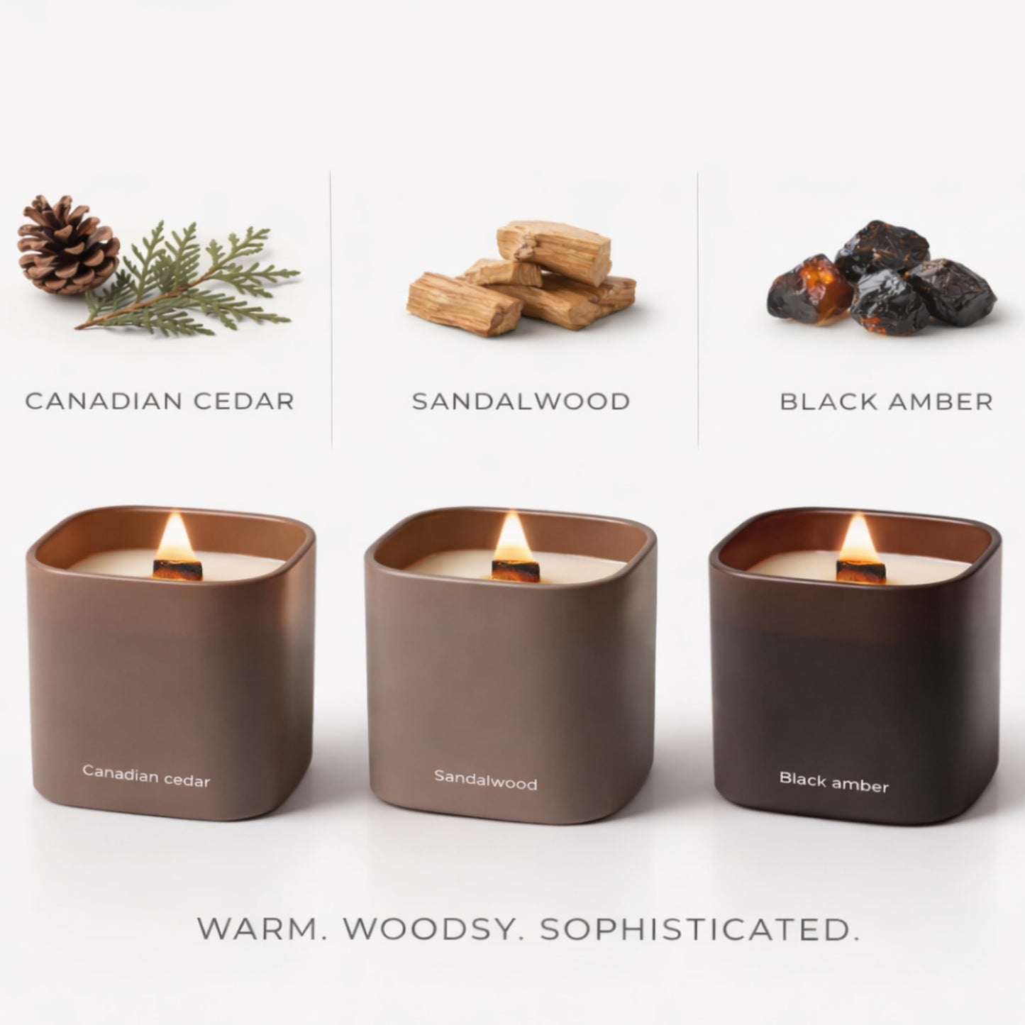 Set of 3 Premium Scented Soy Candles Gift Set | Dusk to Dawn Collection - Canadian Cedar, Black Amber & Sandalwood | Crackling Wood Wick | Luxury Candles for Relaxation, Home Décor, Gifts | 9.8oz Each