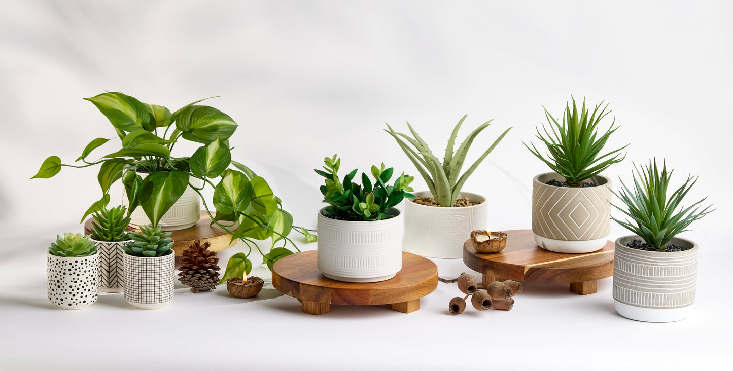 Kurrajong Farmhouse footed wooden tray | wood pedestal stand | 10" wide and 2" high round riser board | acacia wood pedestal board | plant holder